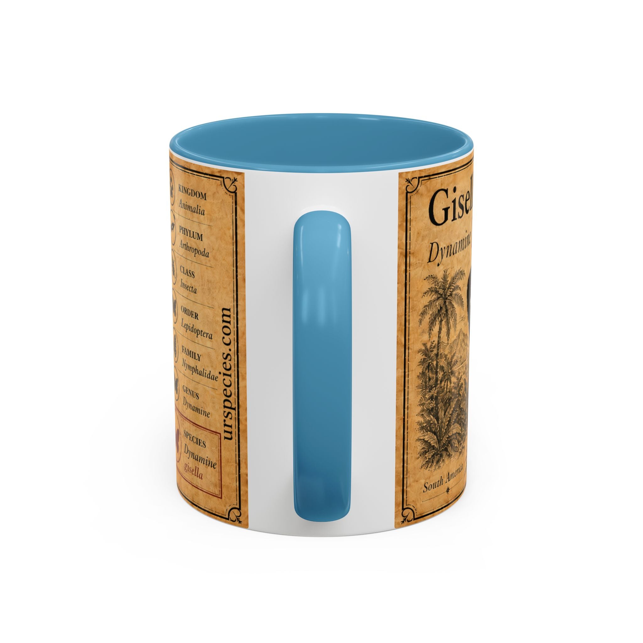 Gisella's Butterfly (Dynamine gisella) Coffee Mug — Vintage Blue Mug