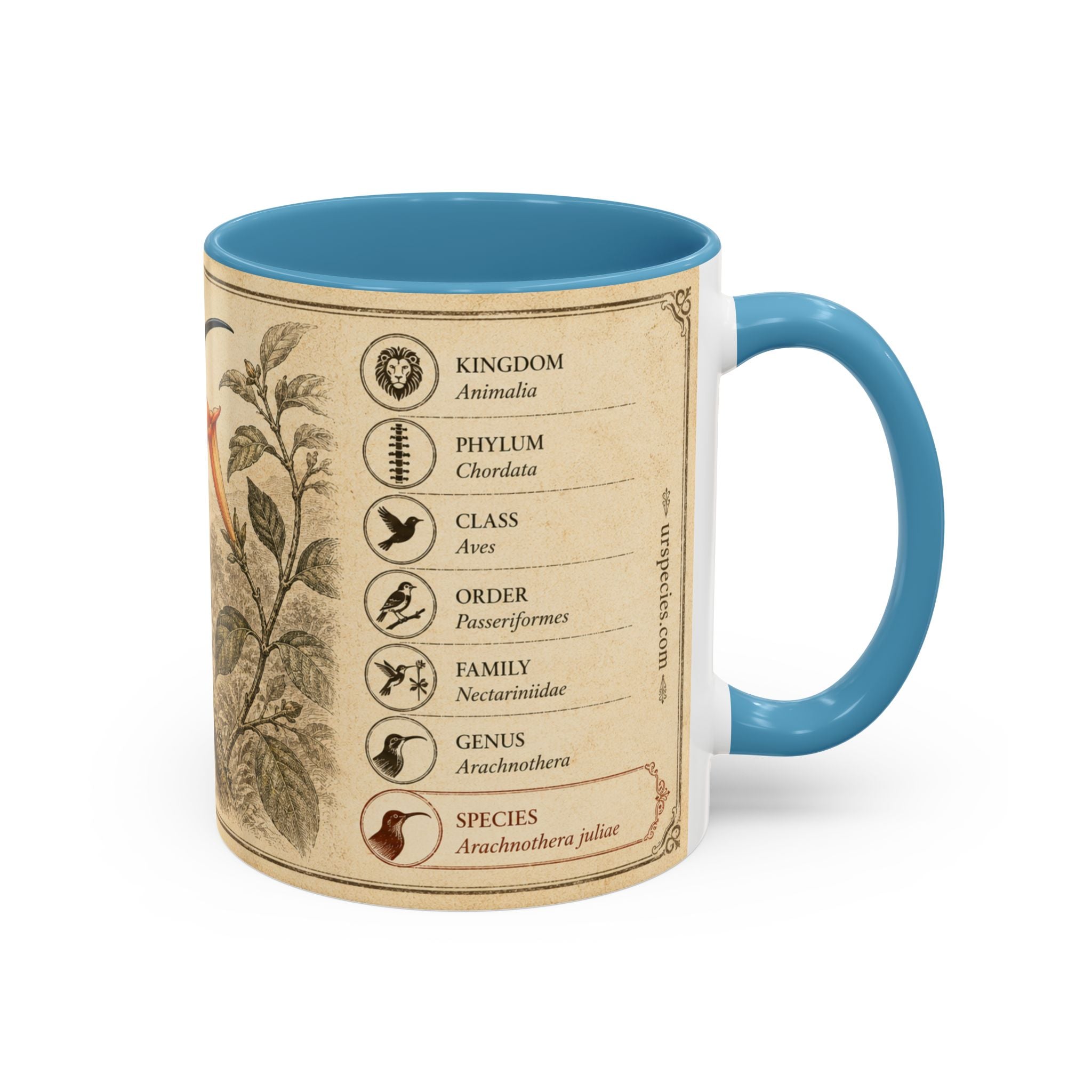 Custom Gift for Julia - Whitehead's spiderhunter (Arachnothera juliae) Nature Lovers Mug  - Europe / UK