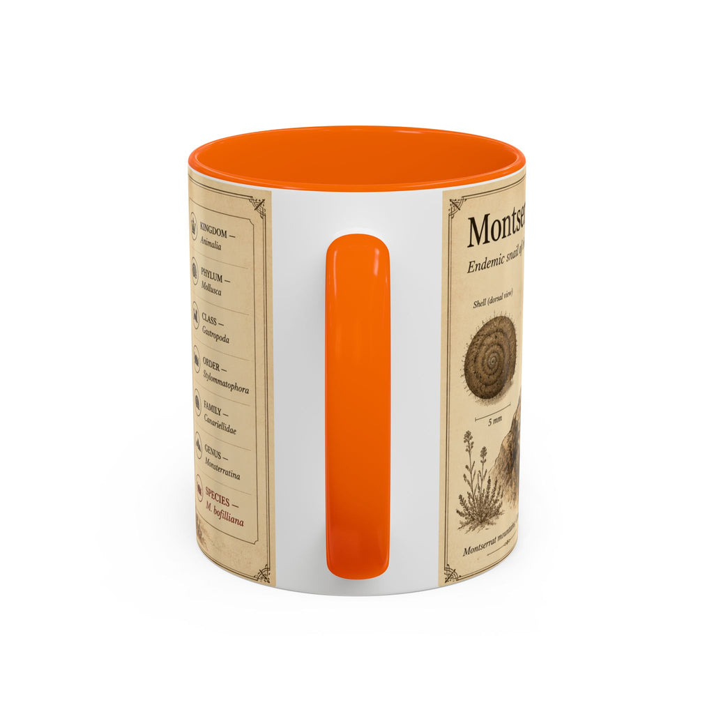 Custom Montserrat Snail Mug – Nature Lover's Gift for Montserrat (Montserratina bofilliana) – Europe/UK