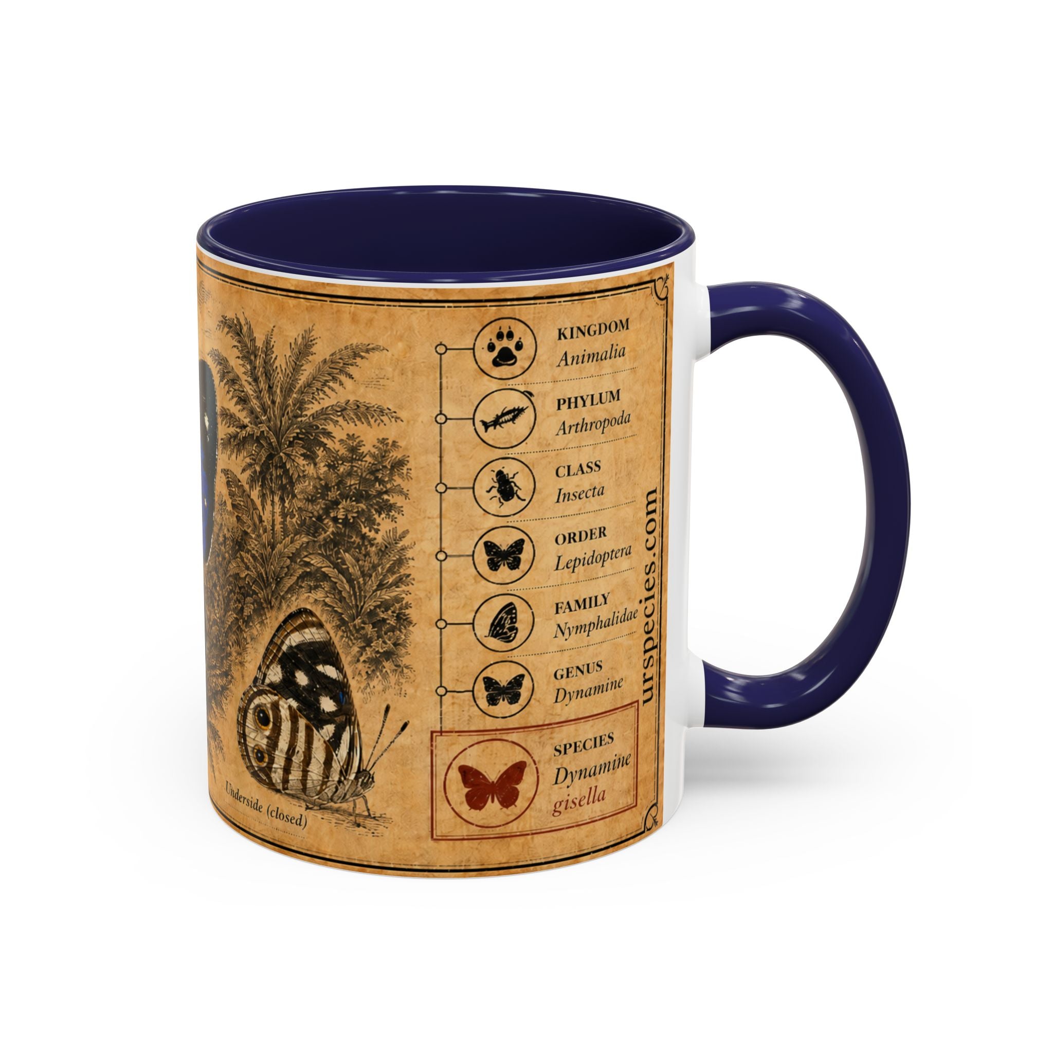 Gisella's Butterfly (Dynamine gisella) Coffee Mug — Vintage Blue Mug