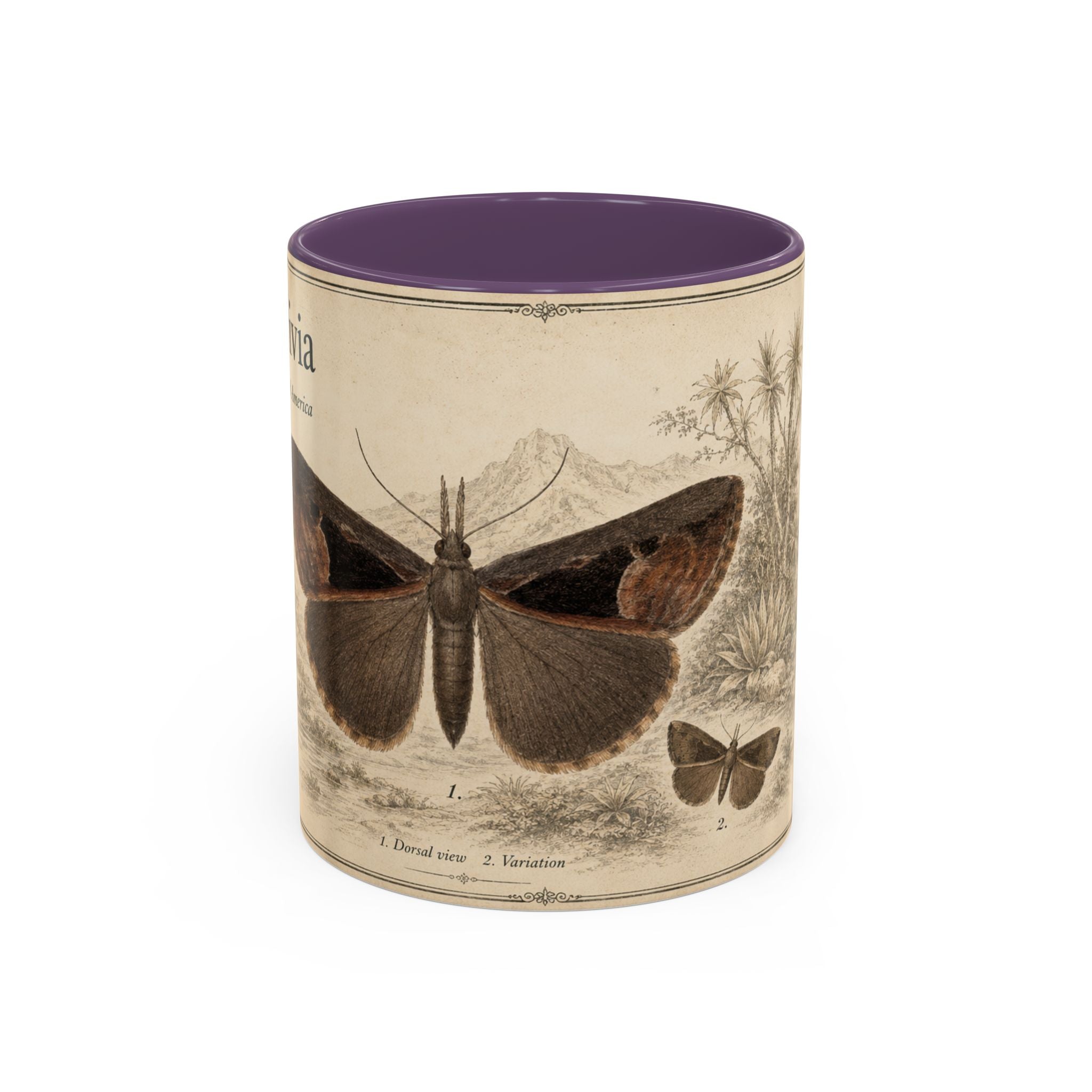 Custom Livia Snail Mug – Nature Lover's Gift for Livia (Hypena livia) – Europe/UK