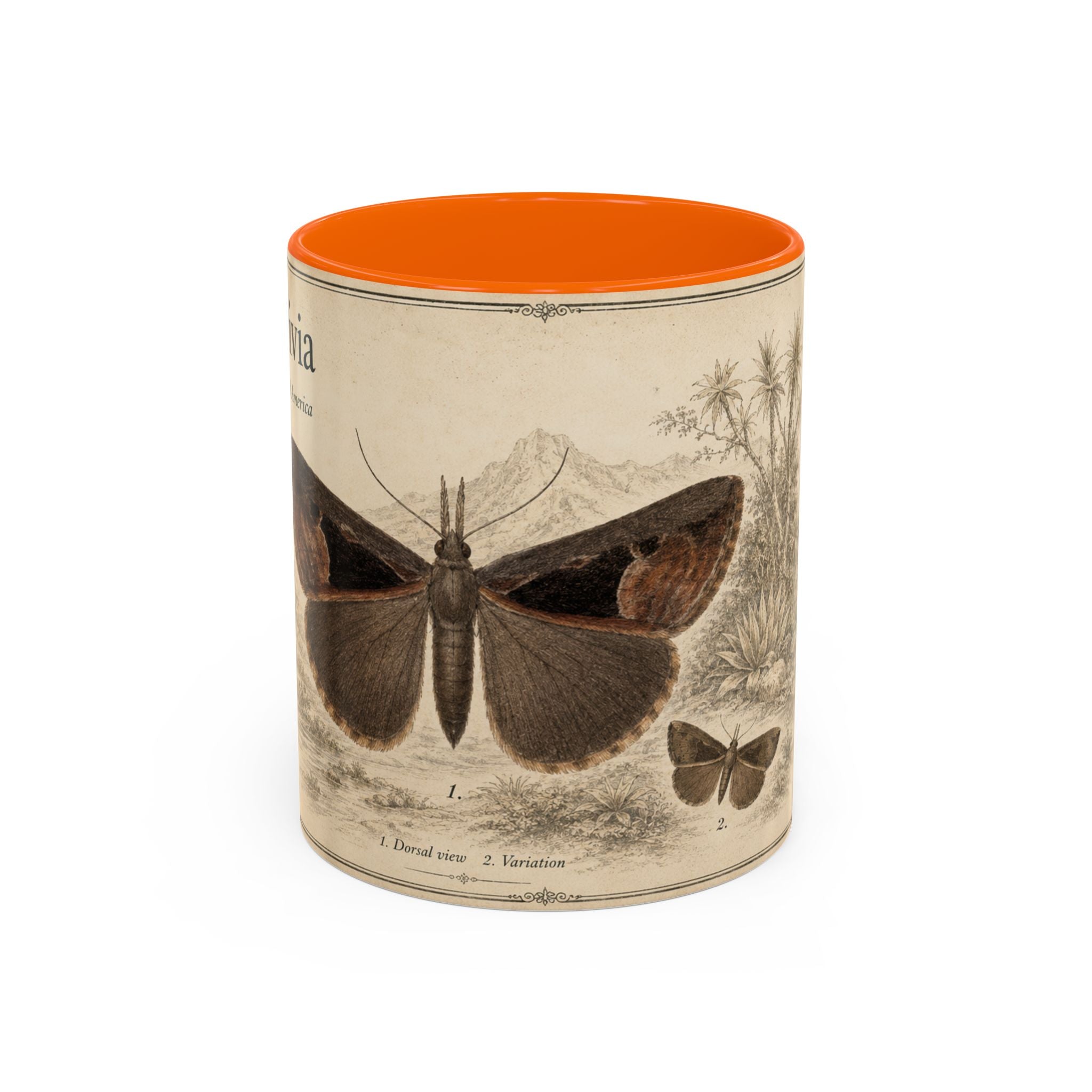 Custom Livia Snail Mug – Nature Lover's Gift for Livia (Hypena livia) – Europe/UK