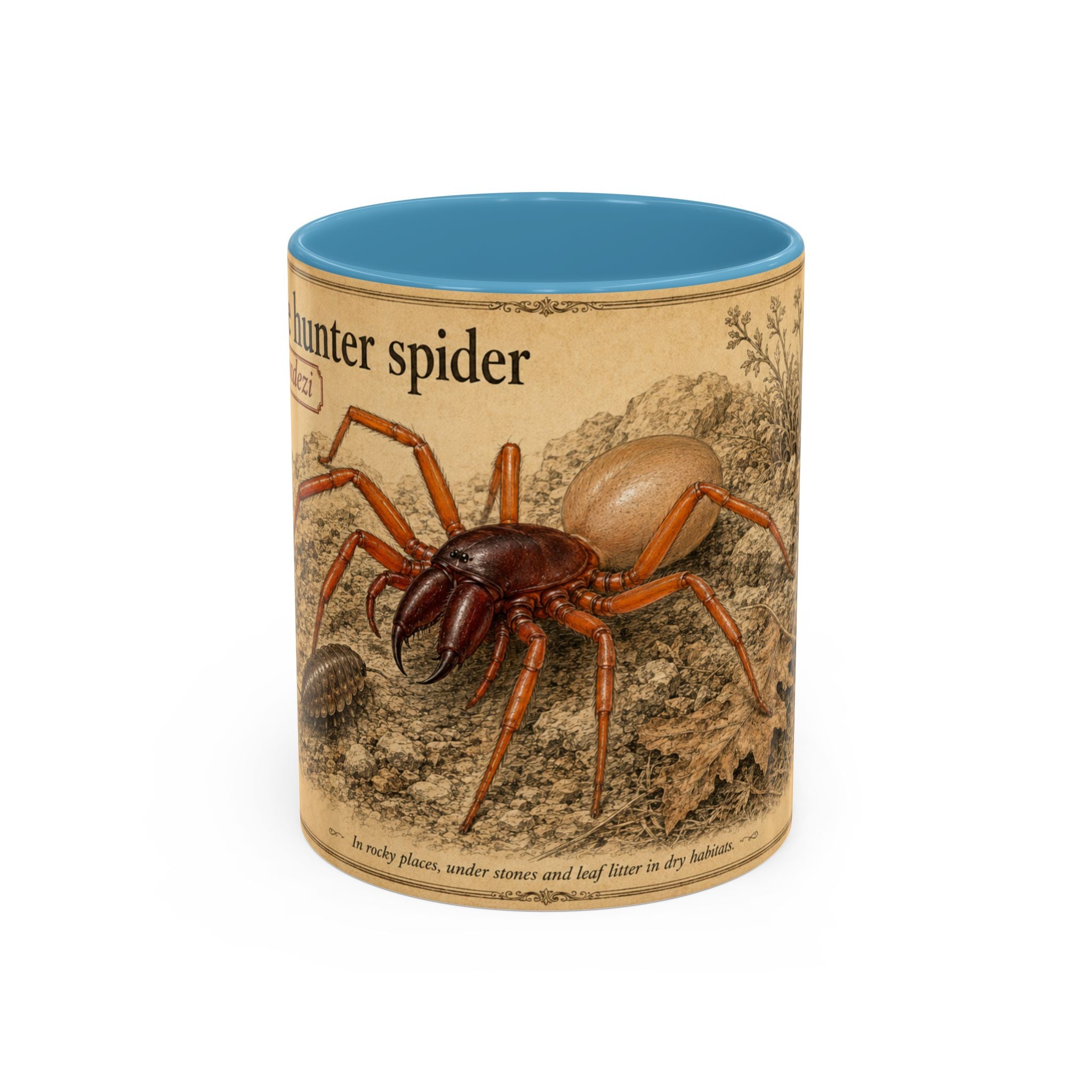Custom Woodlouse-Hunting Spider Mug – Nature Lover's Gift for Ferran (Dysdera ferrandezi) – Europe/UK