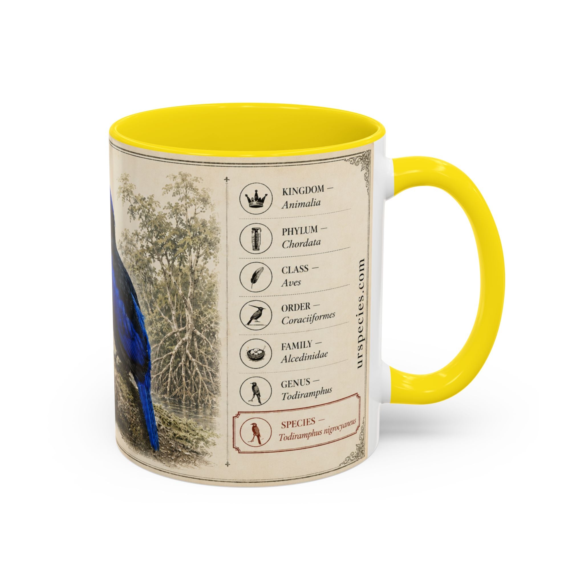 Copy of Custom Woodlouse-Hunting Spider Mug – Nature Lover's Gift for Ferran (Dysdera ferrandezi) – Europe/UK