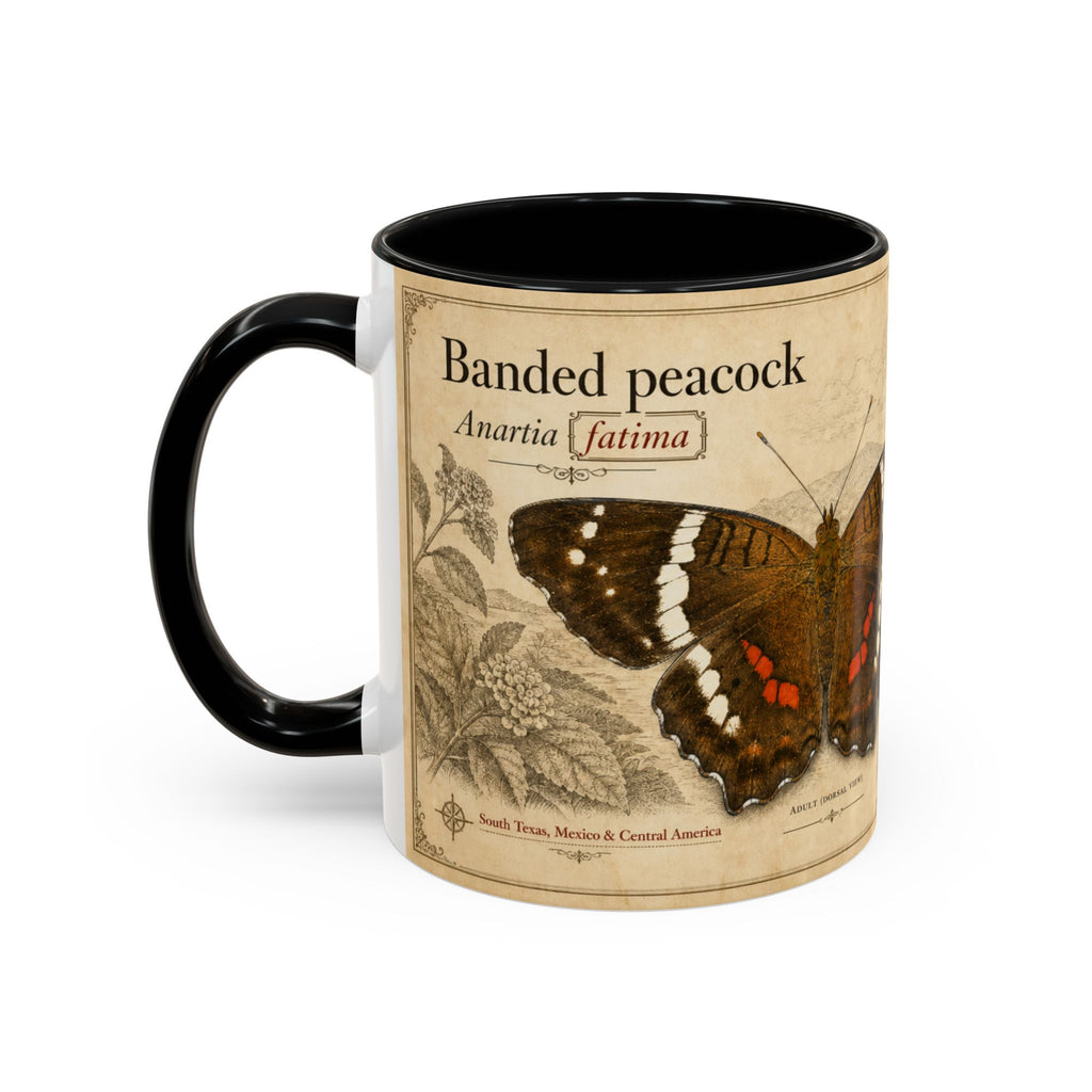 The banded peacock butterfly (Anartia fatima) Coffee Mug — Vintage Mug