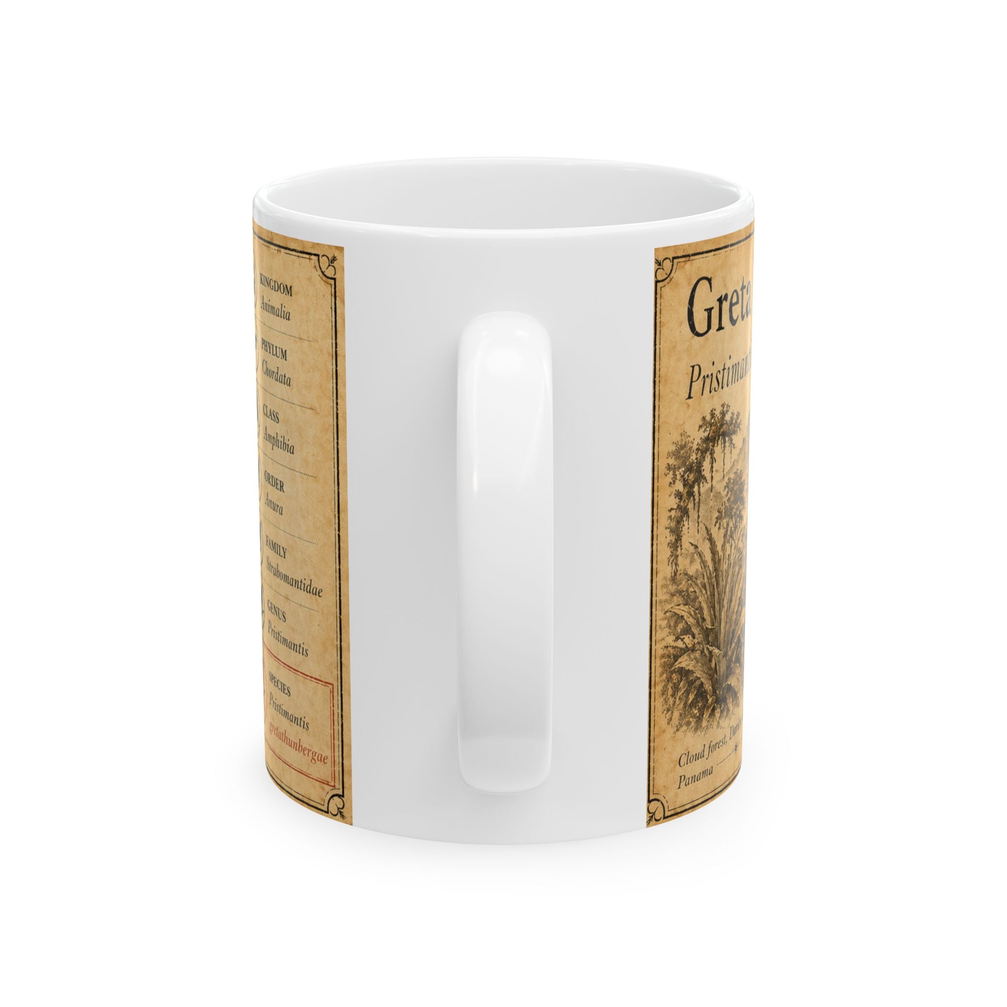Greta Thunberg's rainfrog Illustration Ceramic Mug – Vintage Natural History Greta Thunberg's rainfrog (Pristimantis gretathunbergae) Art, 11oz & 15oz