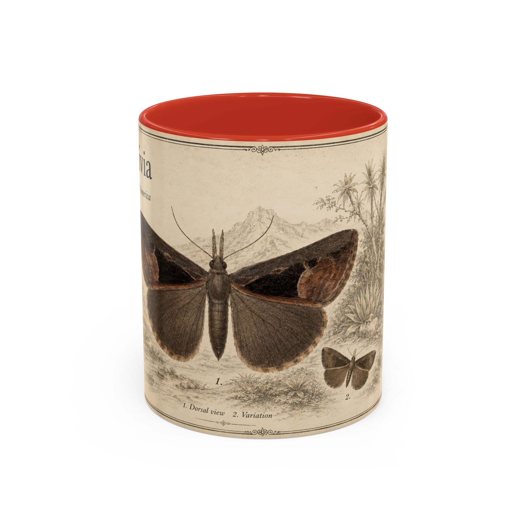 Custom Livia Snail Mug – Nature Lover's Gift for Livia (Hypena livia) – Europe/UK