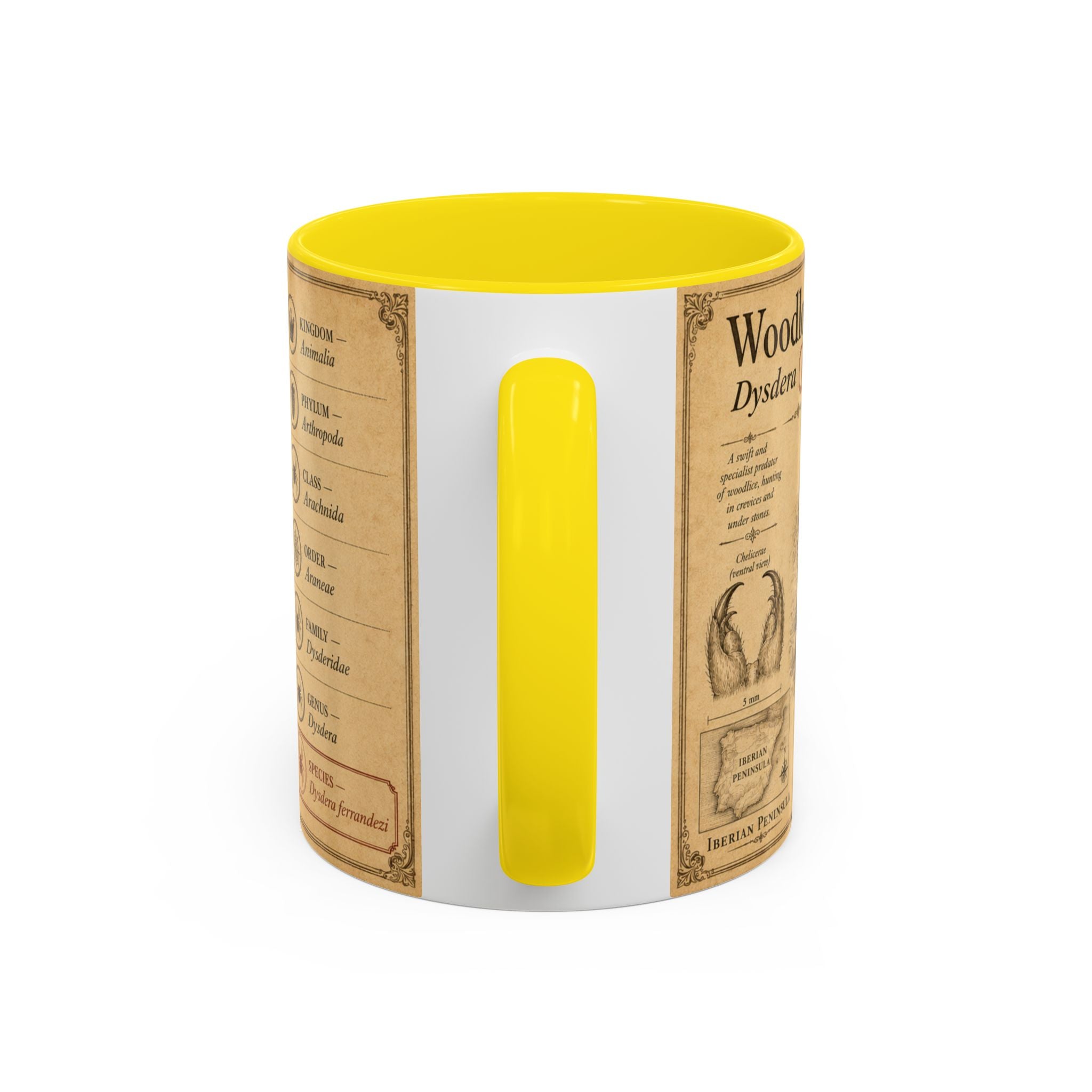 Custom Woodlouse-Hunting Spider Mug – Nature Lover's Gift for Ferran (Dysdera ferrandezi) – Europe/UK
