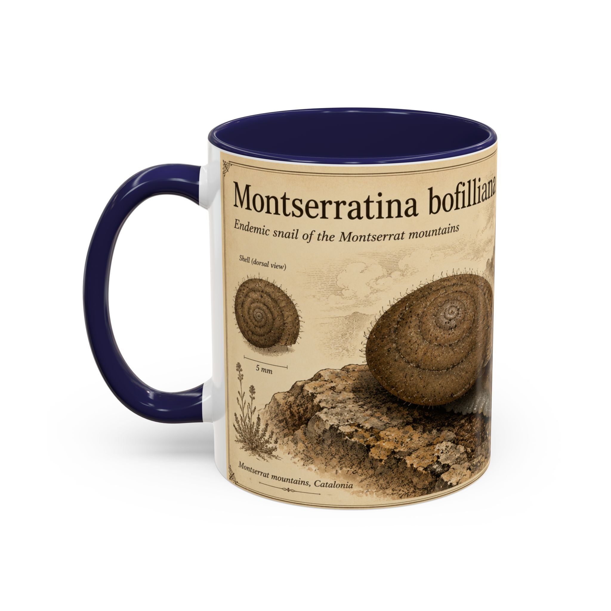 Custom Montserrat Snail Mug – Nature Lover's Gift for Montserrat (Montserratina bofilliana) – Europe/UK