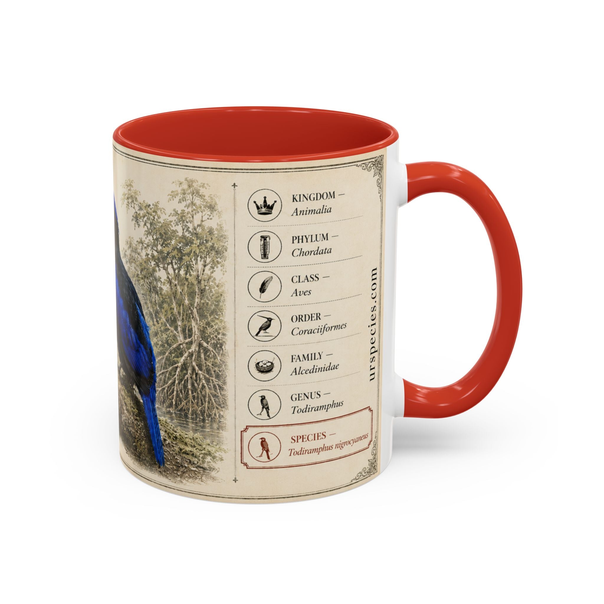 Copy of Custom Woodlouse-Hunting Spider Mug – Nature Lover's Gift for Ferran (Dysdera ferrandezi) – Europe/UK