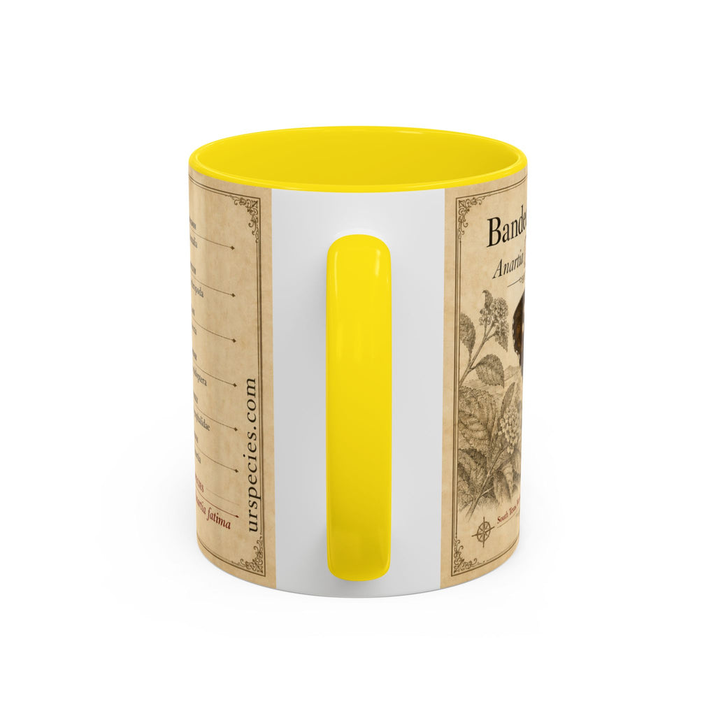 The banded peacock butterfly (Anartia fatima) Coffee Mug — Vintage Mug