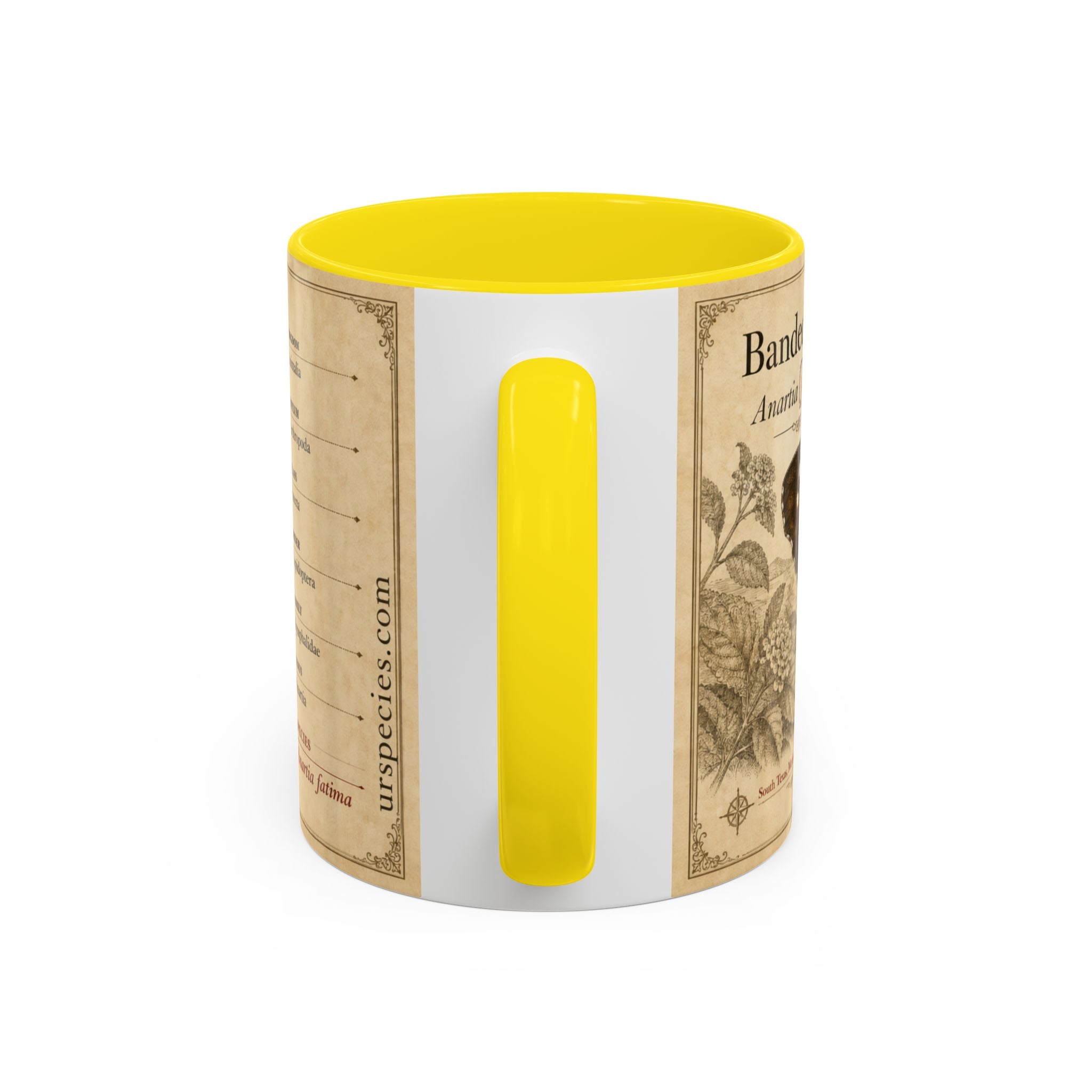 The banded peacock butterfly (Anartia fatima) Coffee Mug — Vintage Mug