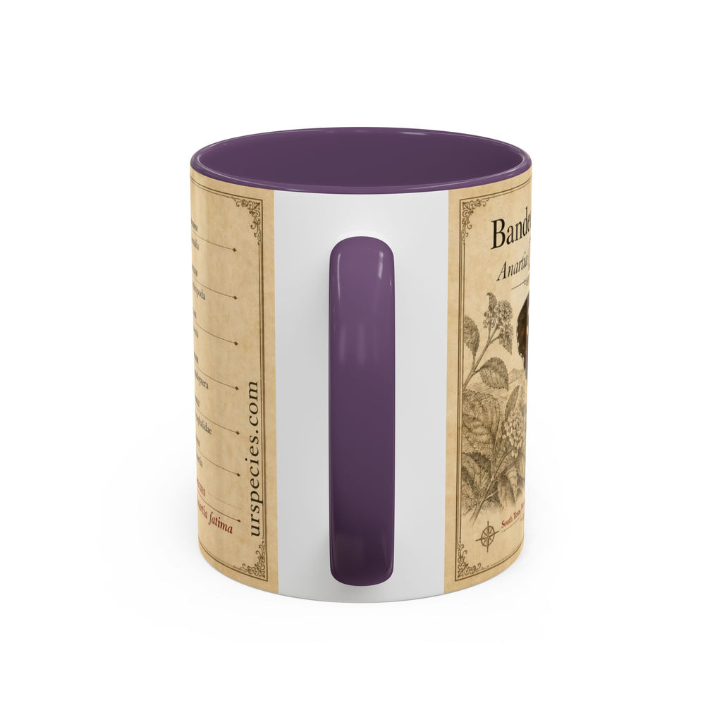The banded peacock butterfly (Anartia fatima) Coffee Mug — Vintage Mug