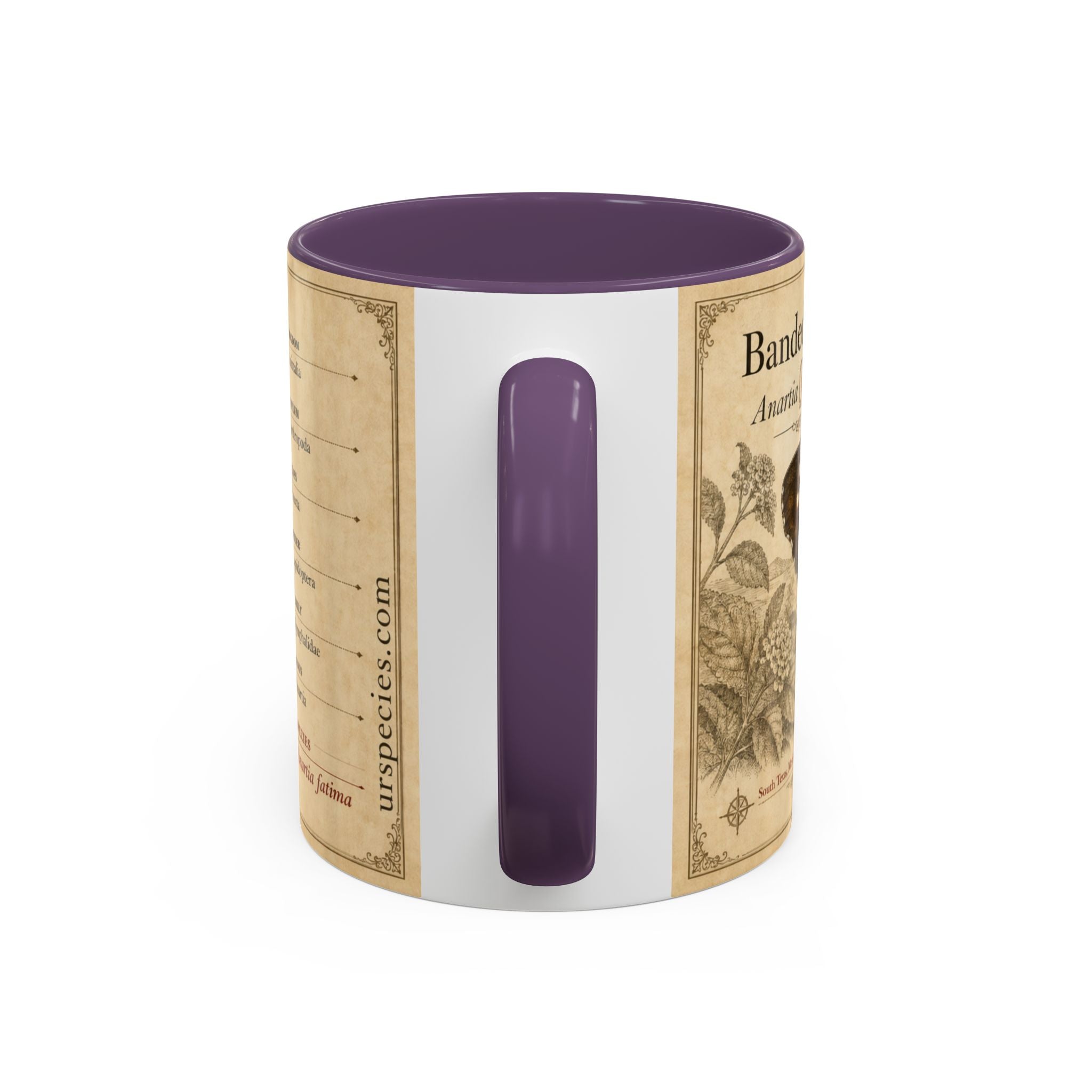 The banded peacock butterfly (Anartia fatima) Coffee Mug — Vintage Mug