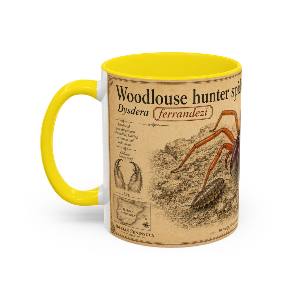 Custom Woodlouse-Hunting Spider Mug – Nature Lover's Gift for Ferran (Dysdera ferrandezi) – Europe/UK