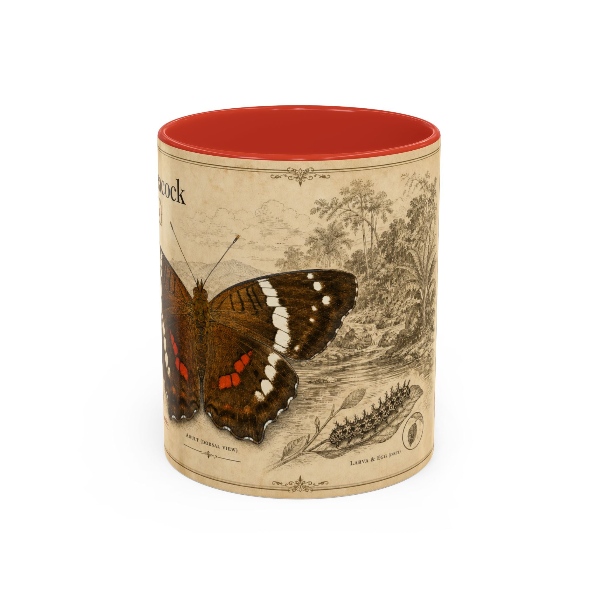 The banded peacock butterfly (Anartia fatima) Coffee Mug — Vintage Mug
