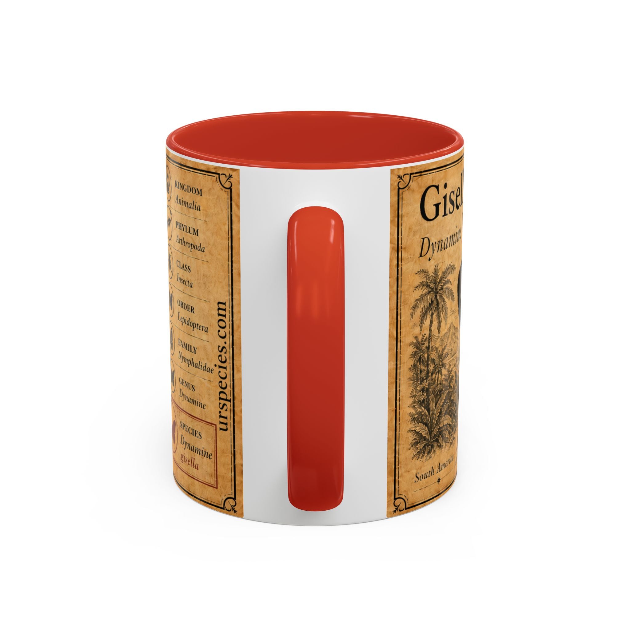 Gisella's Butterfly (Dynamine gisella) Coffee Mug — Vintage Blue Mug