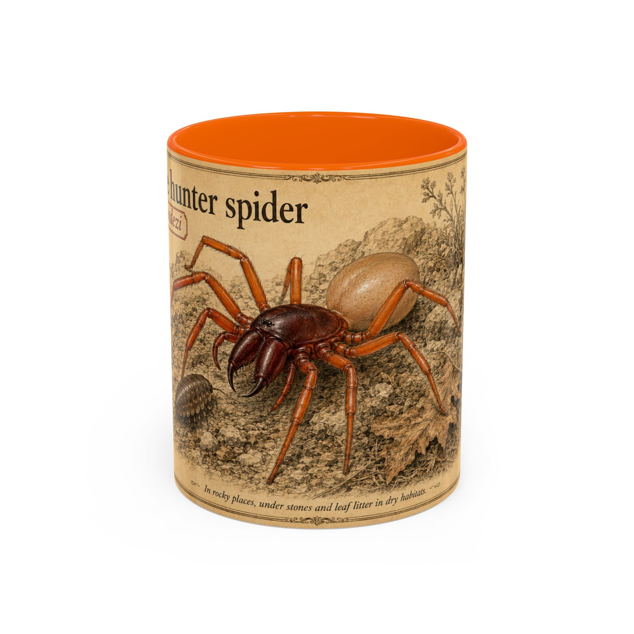 Custom Woodlouse-Hunting Spider Mug – Nature Lover's Gift for Ferran (Dysdera ferrandezi) – Europe/UK