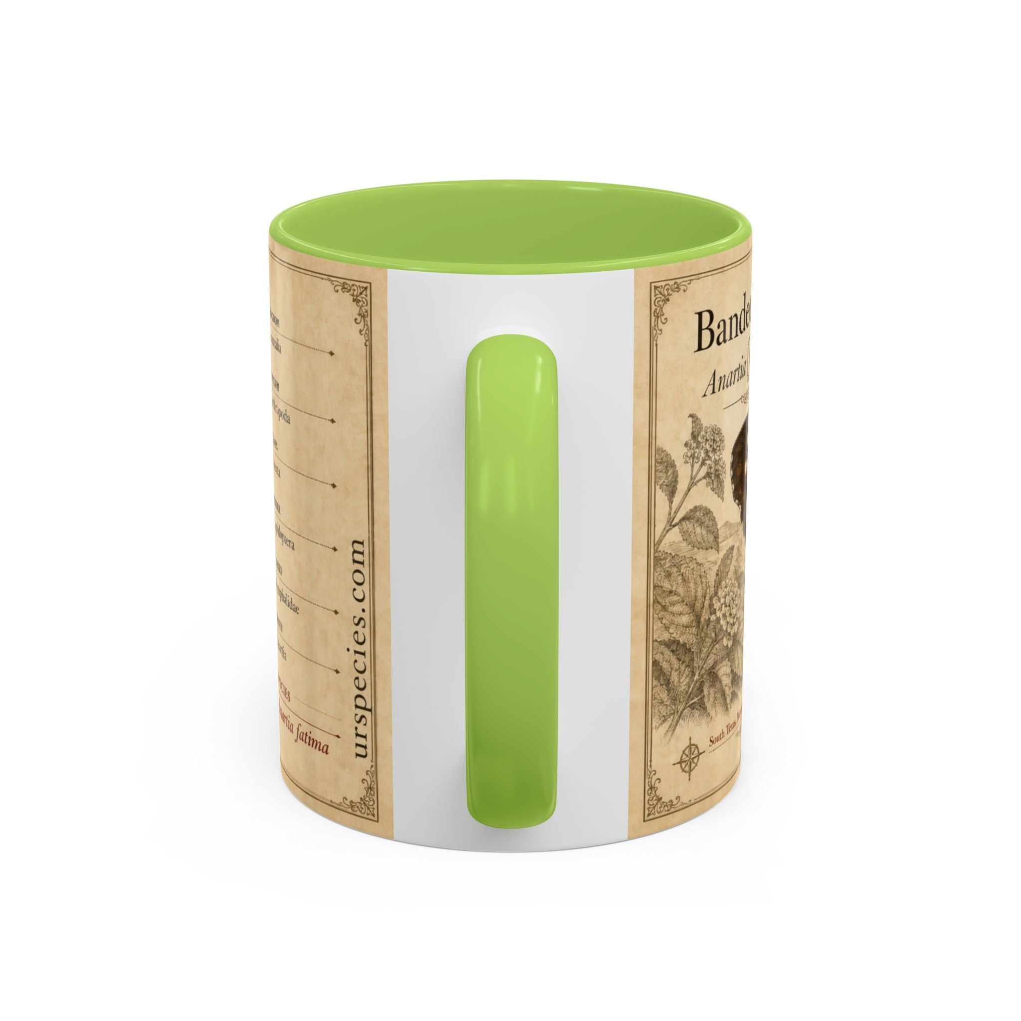 The banded peacock butterfly (Anartia fatima) Coffee Mug — Vintage Mug