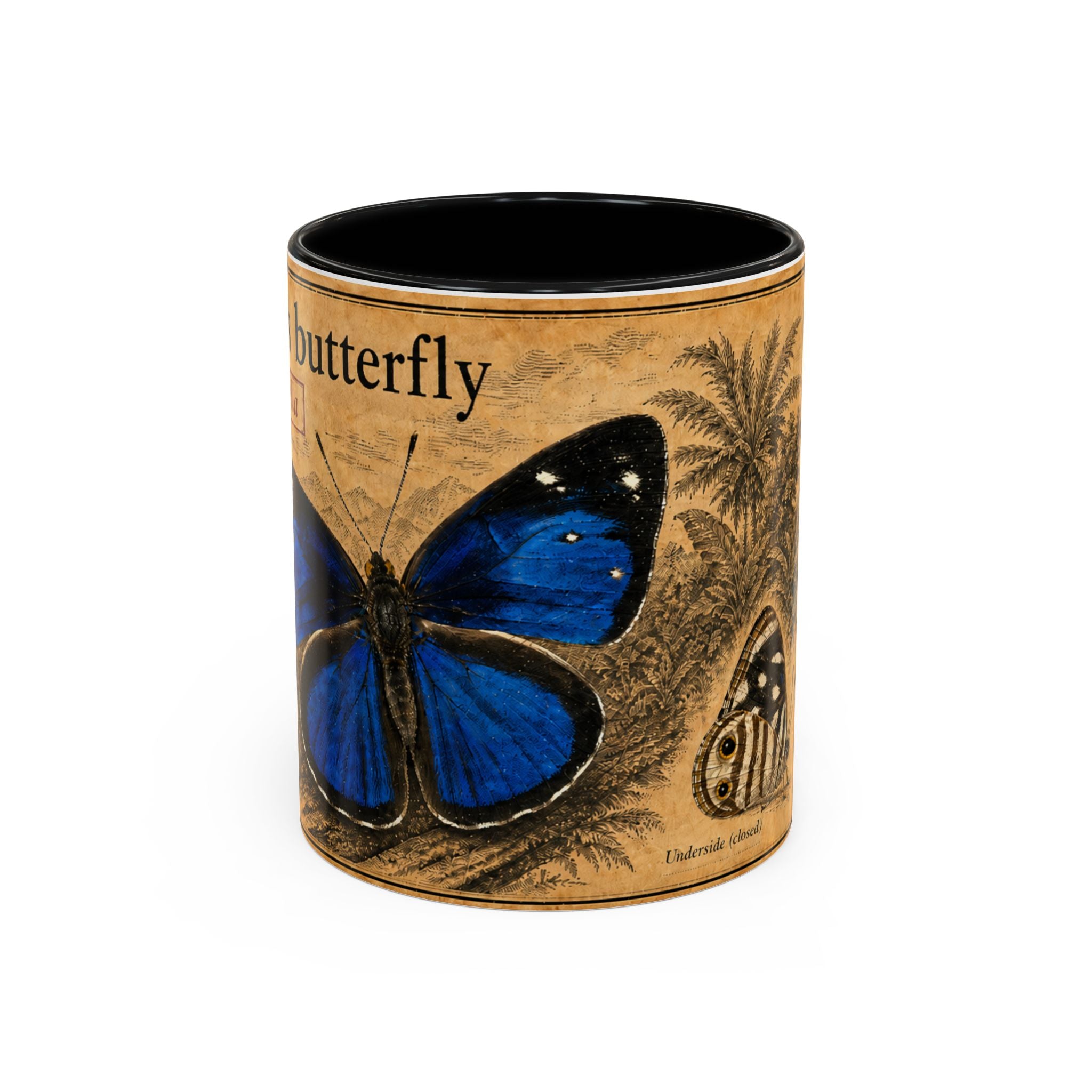 Gisella's Butterfly (Dynamine gisella) Coffee Mug — Vintage Blue Mug