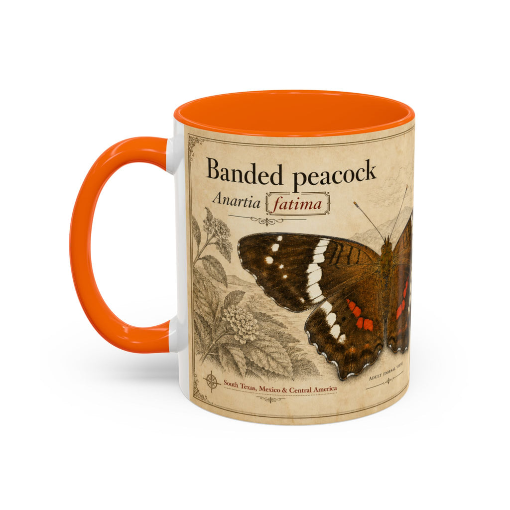 The banded peacock butterfly (Anartia fatima) Coffee Mug — Vintage Mug