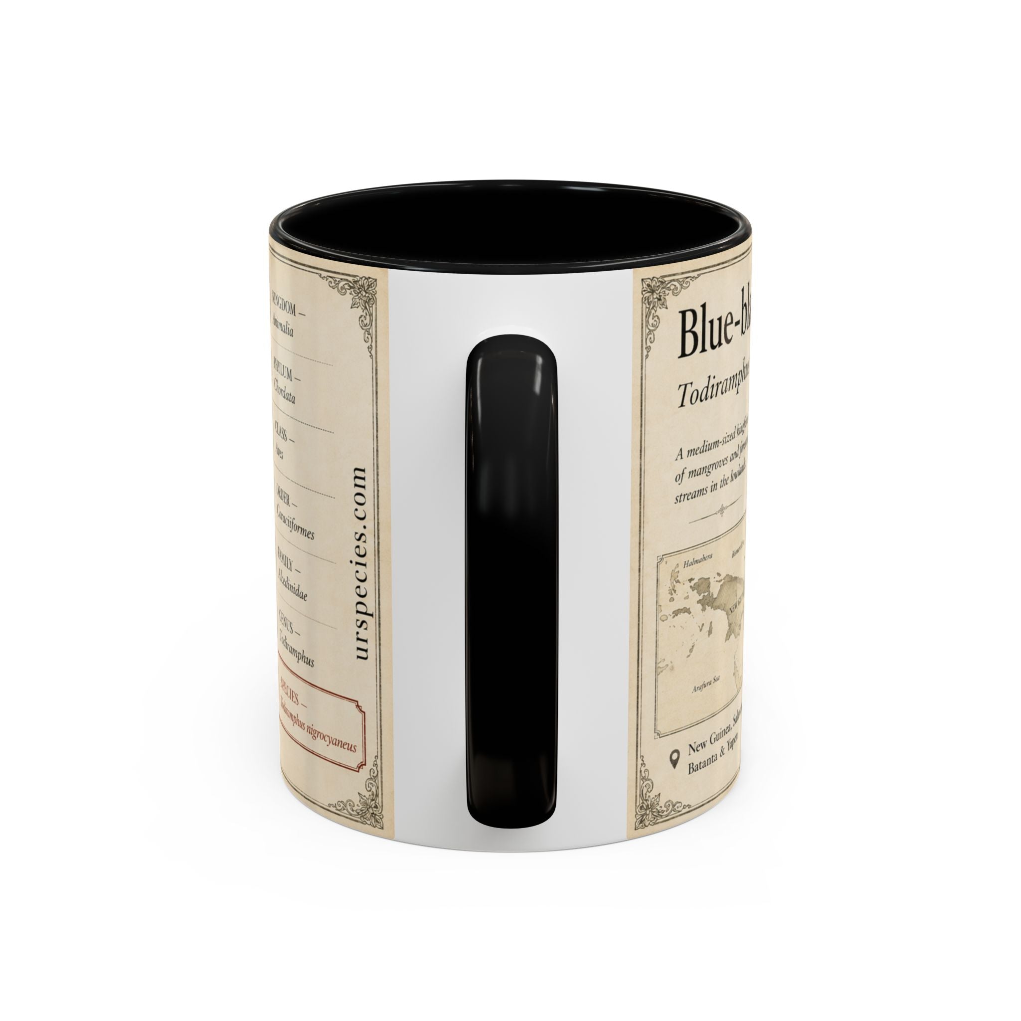 Copy of Custom Woodlouse-Hunting Spider Mug – Nature Lover's Gift for Ferran (Dysdera ferrandezi) – Europe/UK