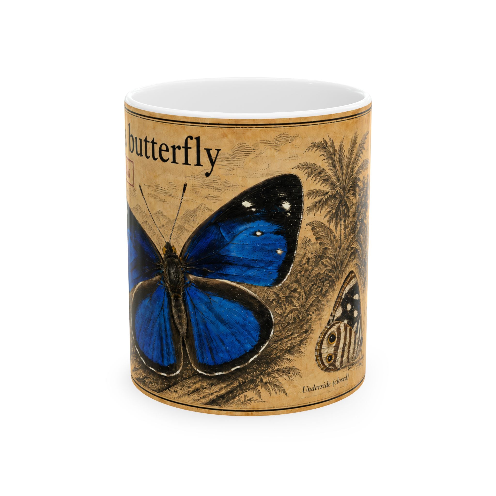 Dynamine gisella Illustration Ceramic Mug – Vintage Natural History Gisella's butterfly (Dynamine gisella) Art, 11oz & 15oz