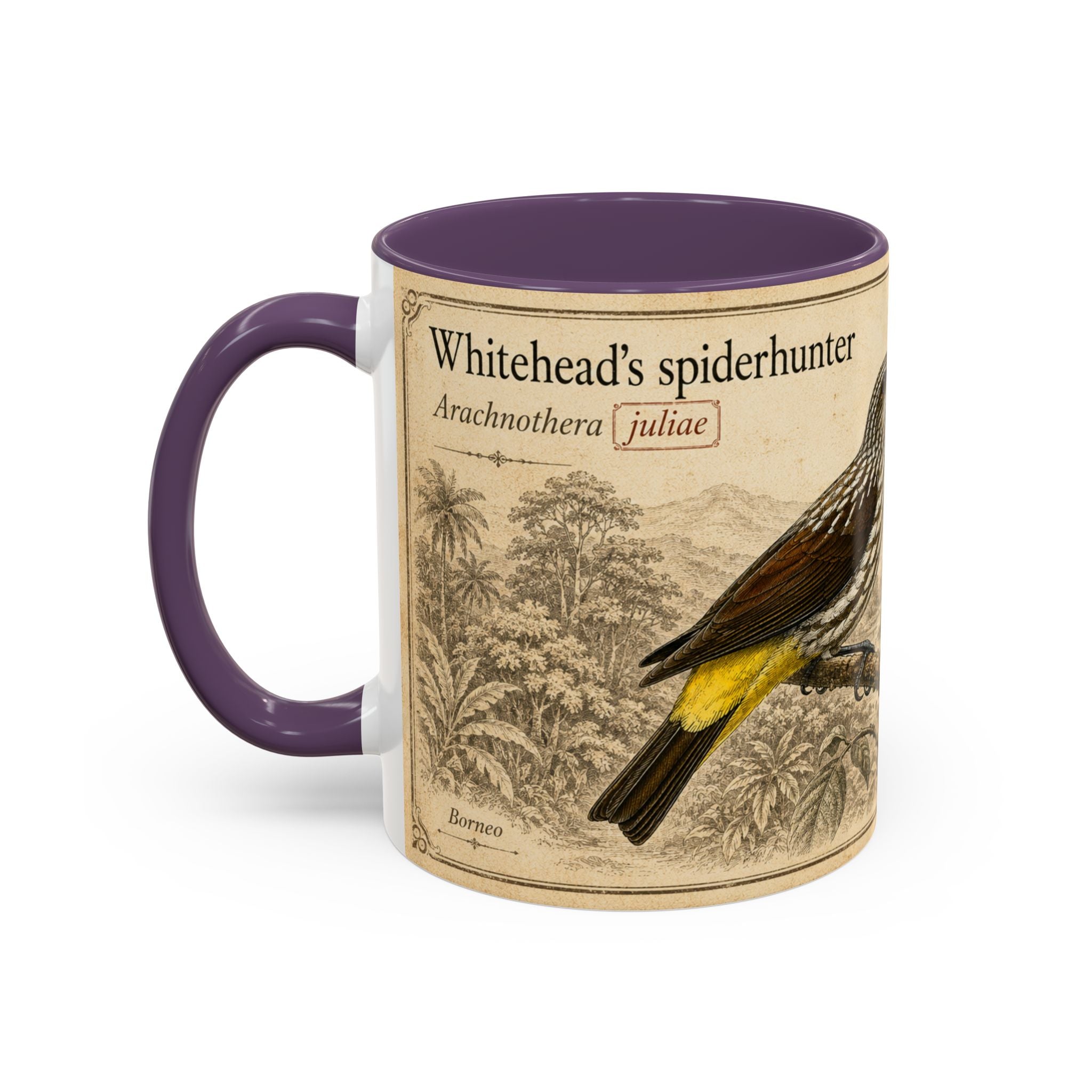 Custom Gift for Julia - Whitehead's spiderhunter (Arachnothera juliae) Nature Lovers Mug  - Europe / UK