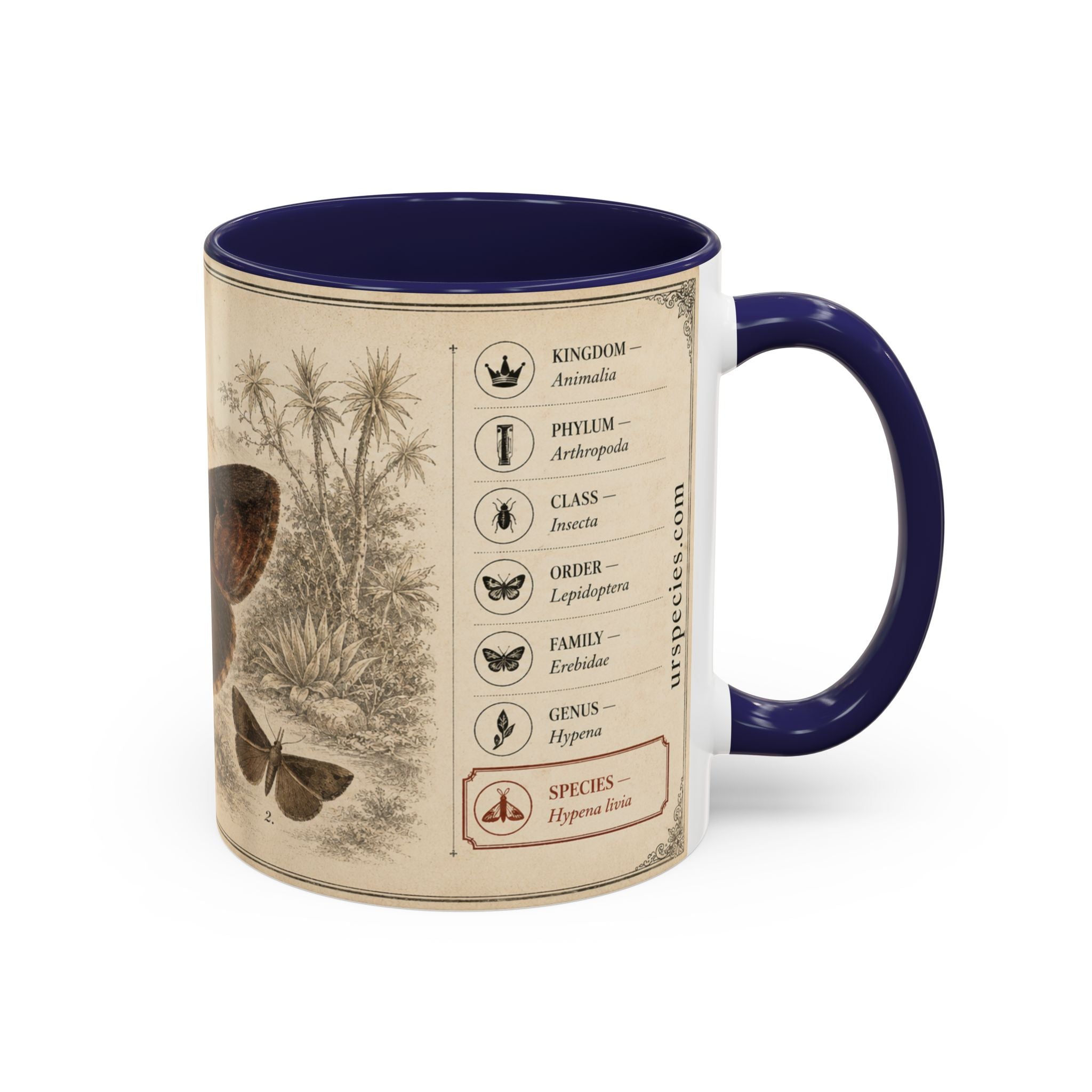 Custom Livia Snail Mug – Nature Lover's Gift for Livia (Hypena livia) – Europe/UK