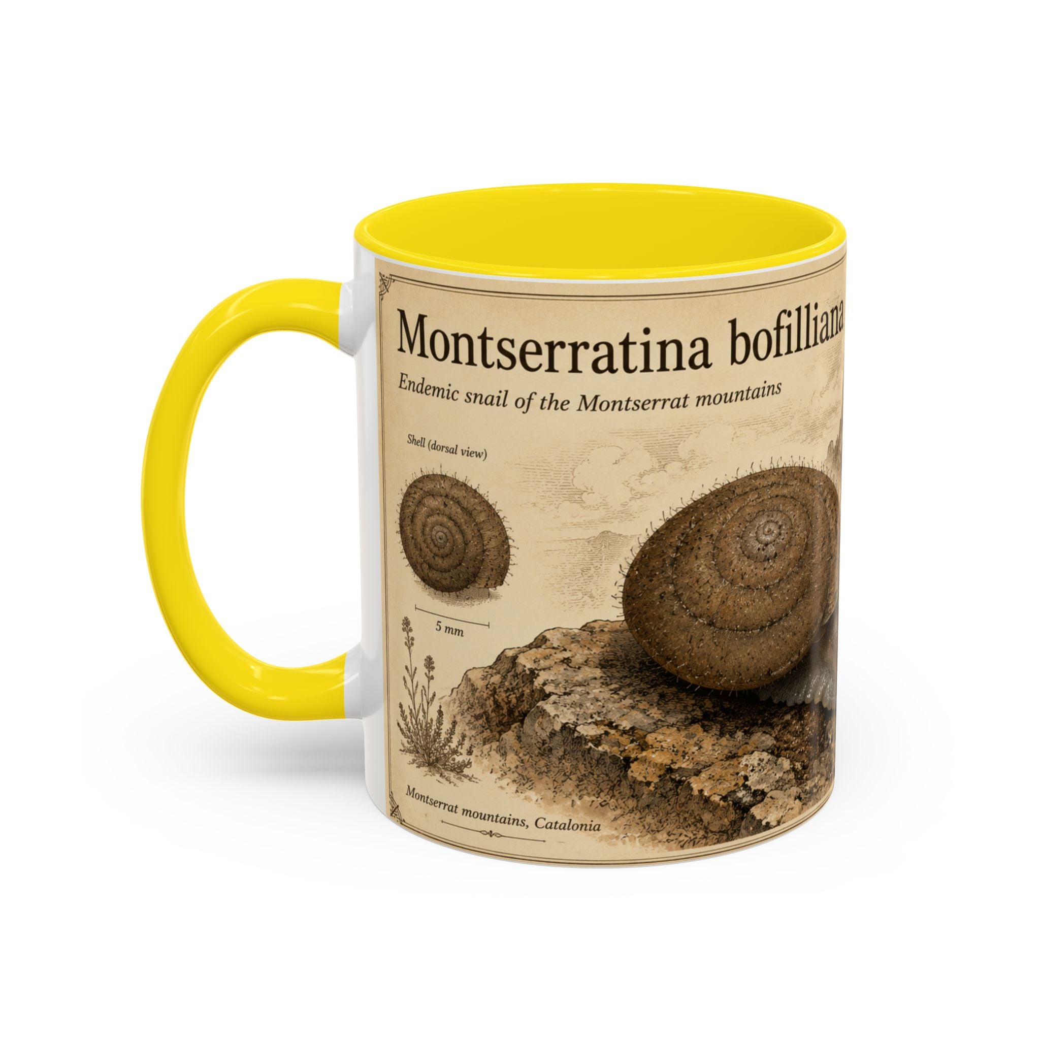 Custom Montserrat Snail Mug – Nature Lover's Gift for Montserrat (Montserratina bofilliana) – Europe/UK