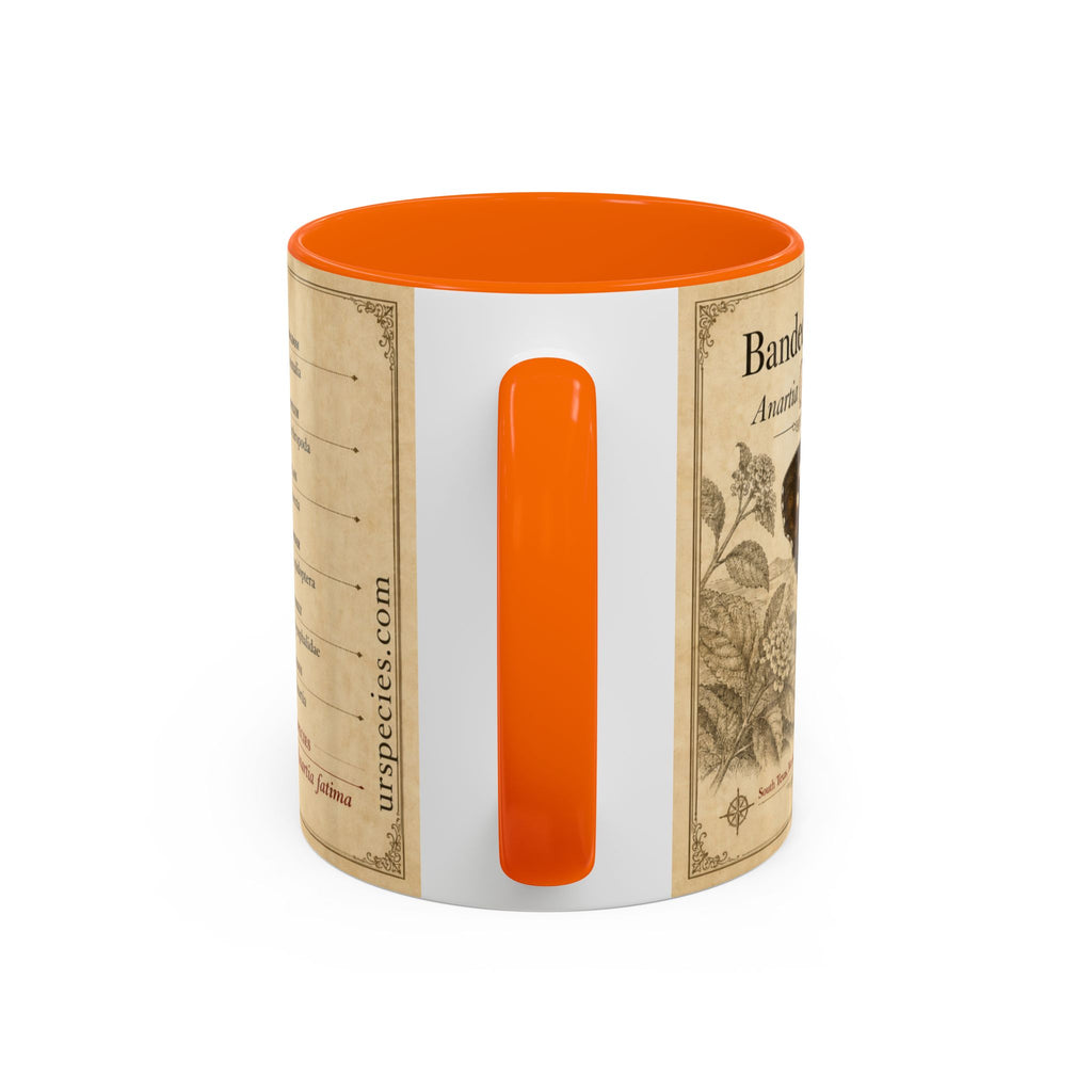 The banded peacock butterfly (Anartia fatima) Coffee Mug — Vintage Mug
