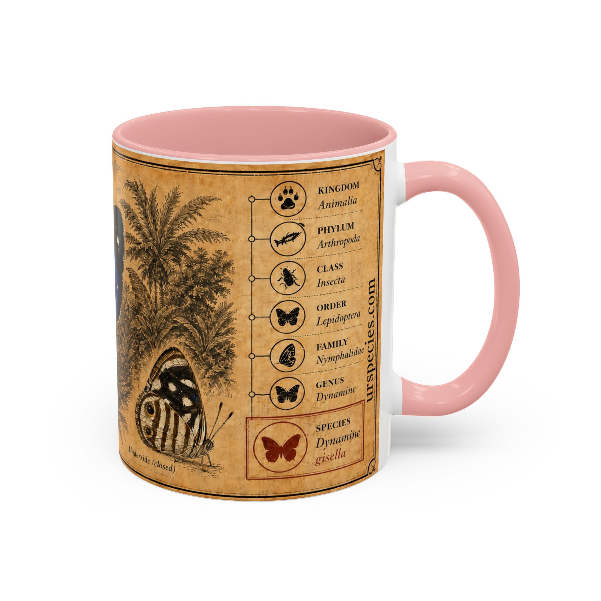 Gisella's Butterfly (Dynamine gisella) Coffee Mug — Vintage Blue Mug