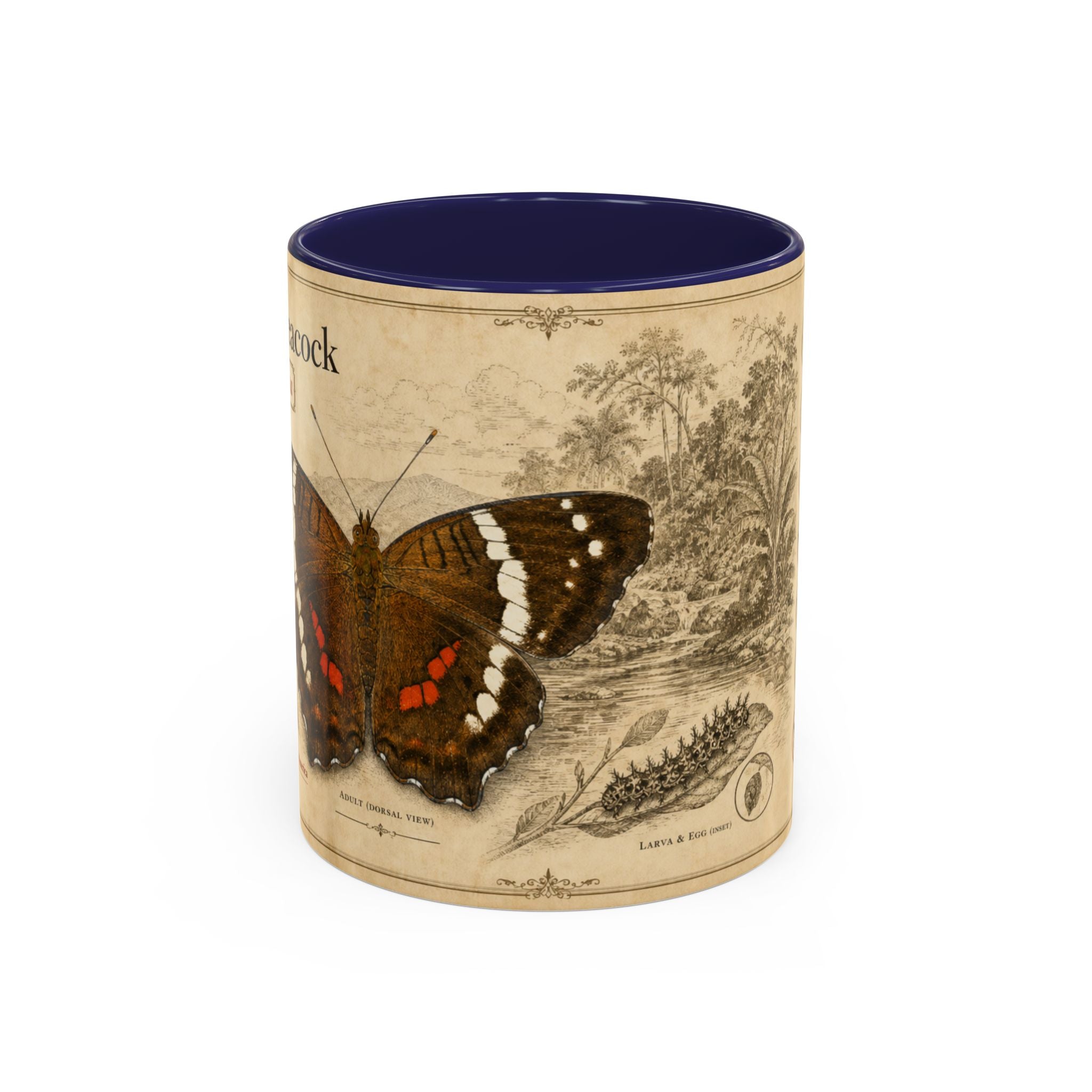 The banded peacock butterfly (Anartia fatima) Coffee Mug — Vintage Mug