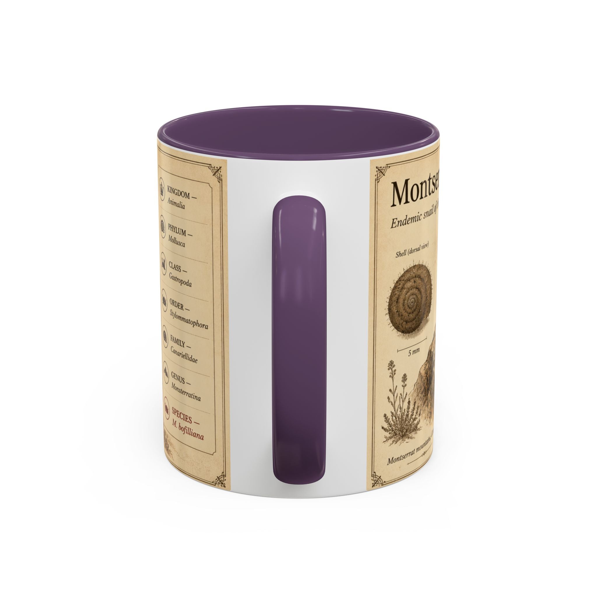 Custom Montserrat Snail Mug – Nature Lover's Gift for Montserrat (Montserratina bofilliana) – Europe/UK