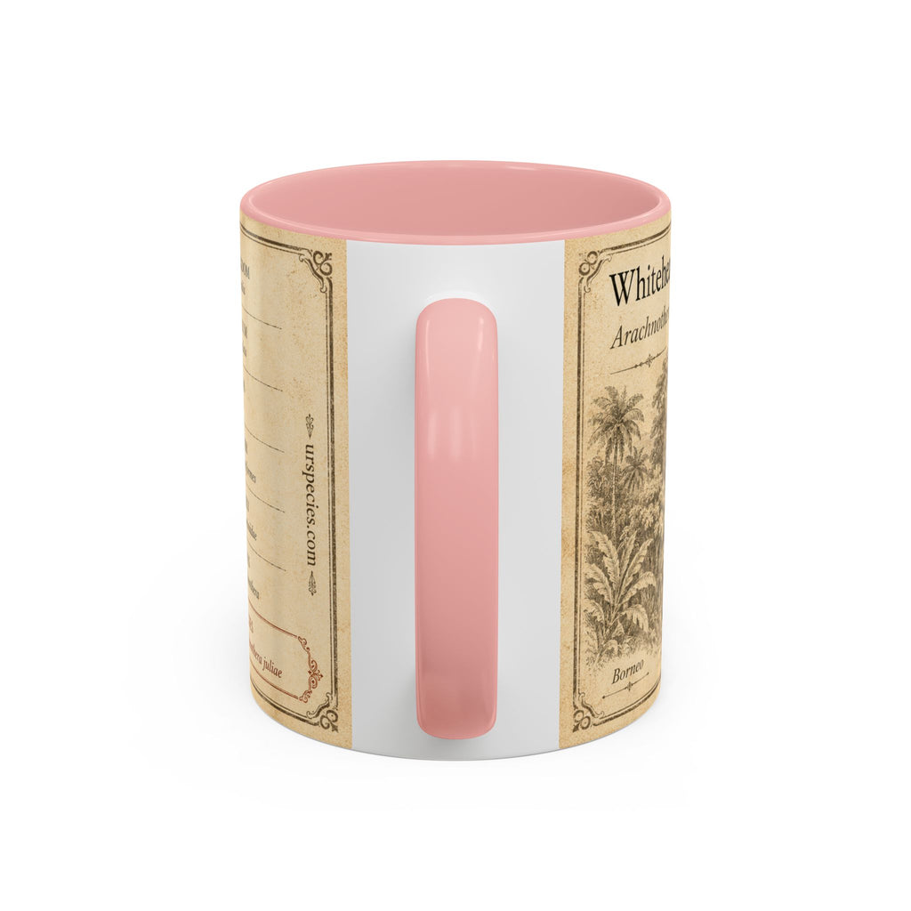 Custom Gift for Julia - Whitehead's spiderhunter (Arachnothera juliae) Nature Lovers Mug  - Europe / UK