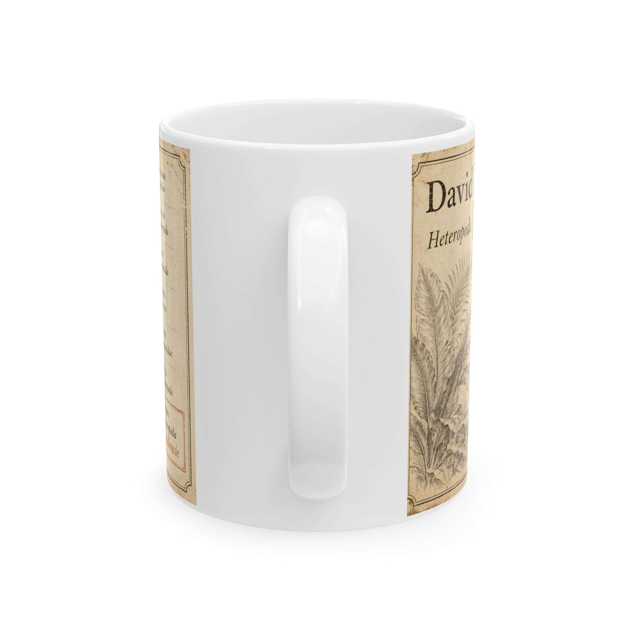 David Bowie's spider Illustration Ceramic Mug – Vintage Natural History David Bowie's spider (Heteropoda davidbowie) 11oz & 15oz