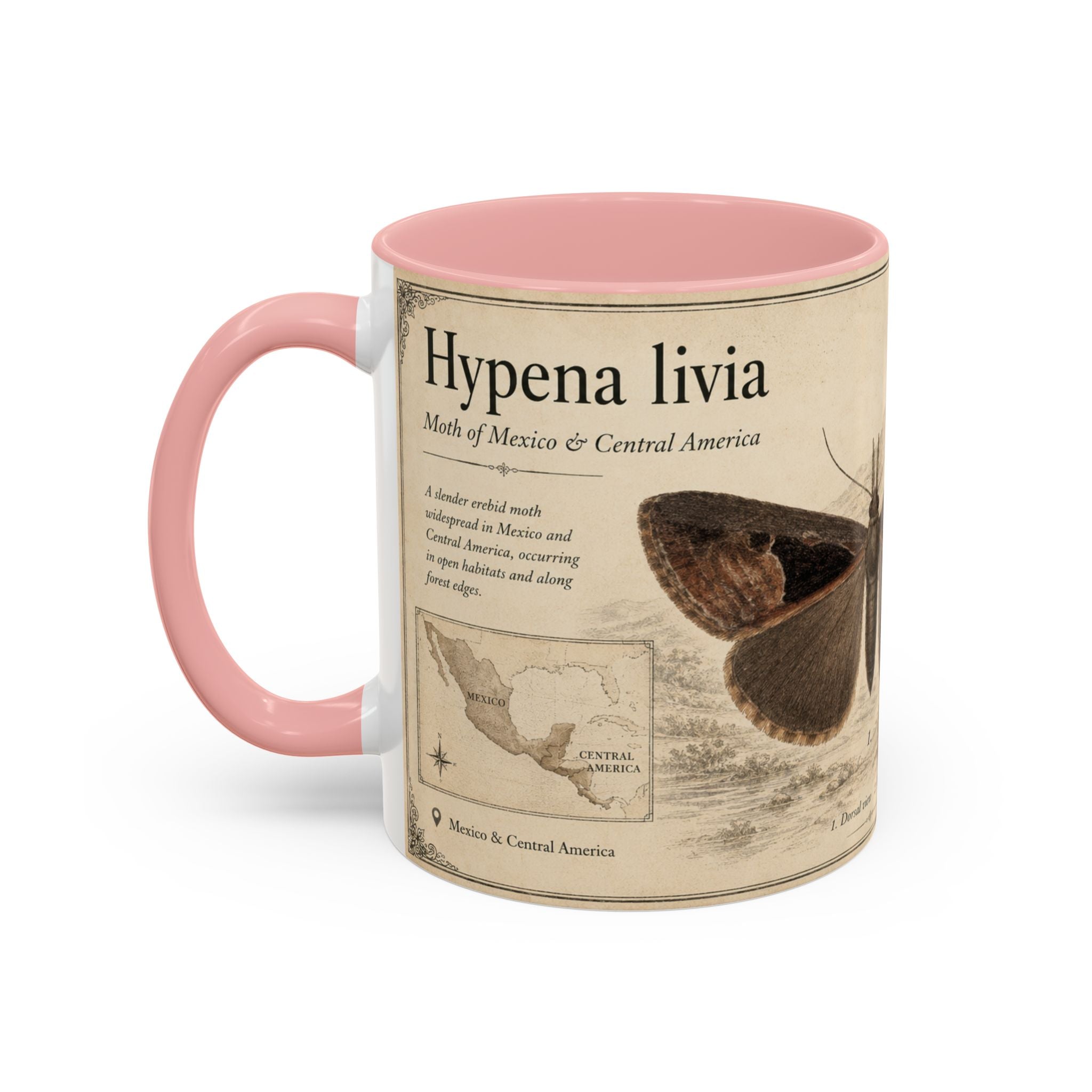 Custom Livia Snail Mug – Nature Lover's Gift for Livia (Hypena livia) – Europe/UK