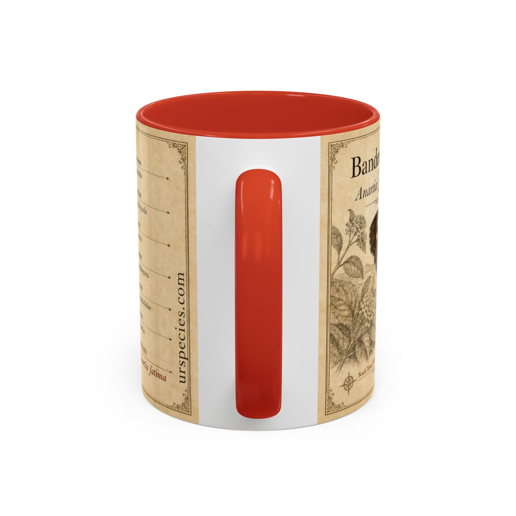The banded peacock butterfly (Anartia fatima) Coffee Mug — Vintage Mug