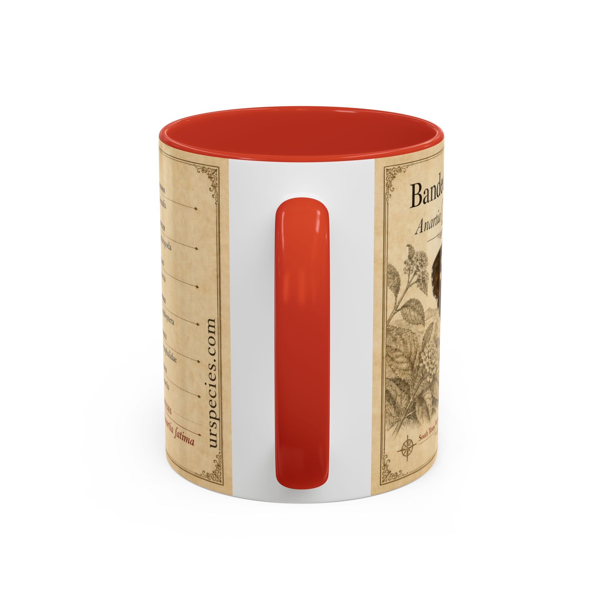 The banded peacock butterfly (Anartia fatima) Coffee Mug — Vintage Mug