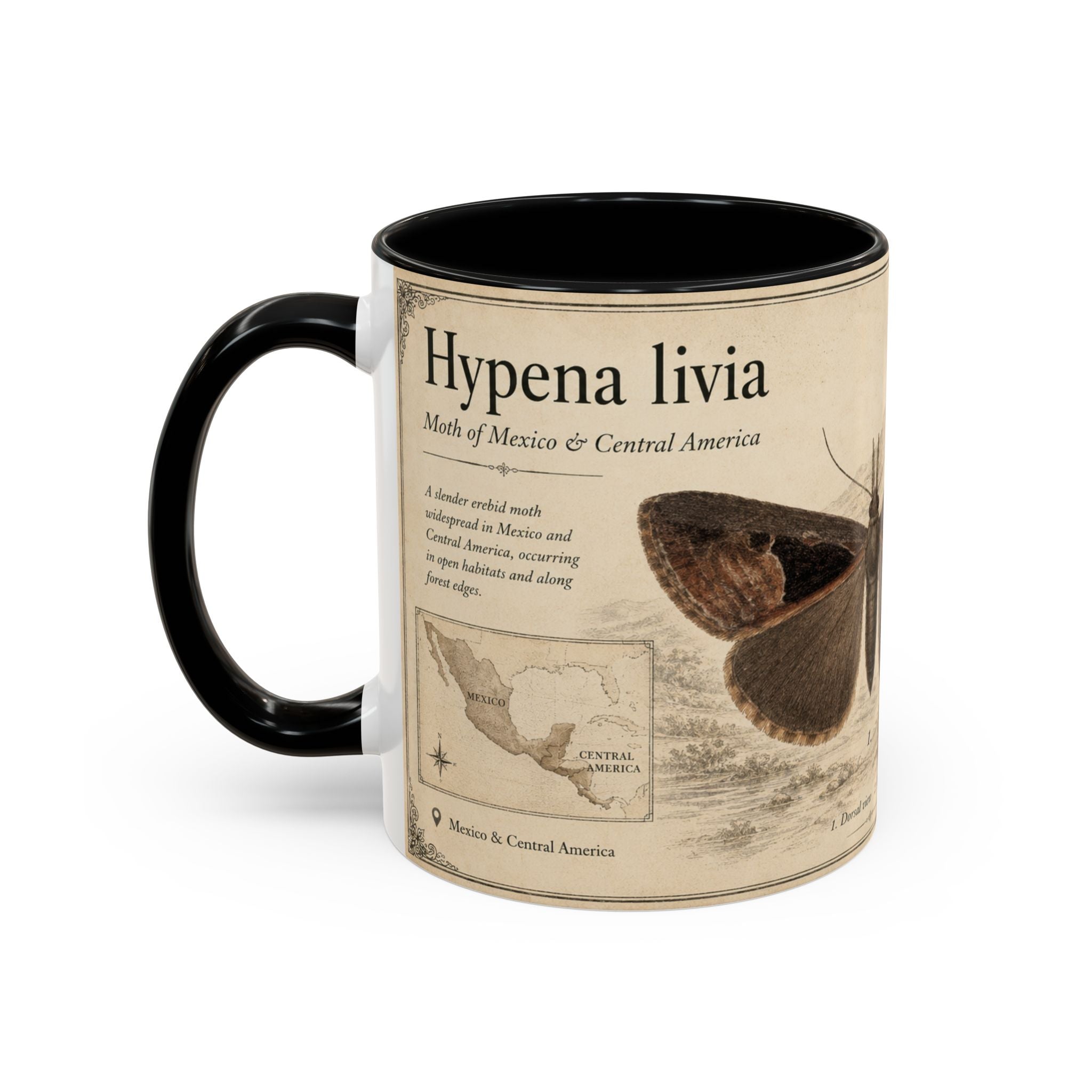 Custom Livia Snail Mug – Nature Lover's Gift for Livia (Hypena livia) – Europe/UK