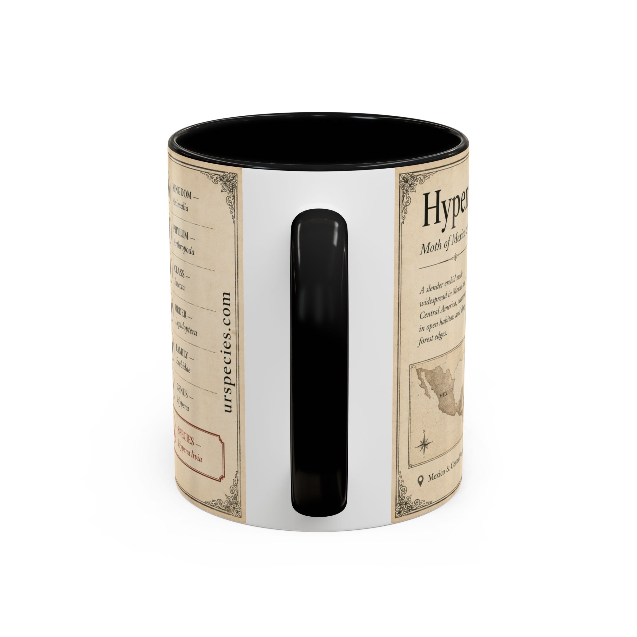 Custom Livia Snail Mug – Nature Lover's Gift for Livia (Hypena livia) – Europe/UK