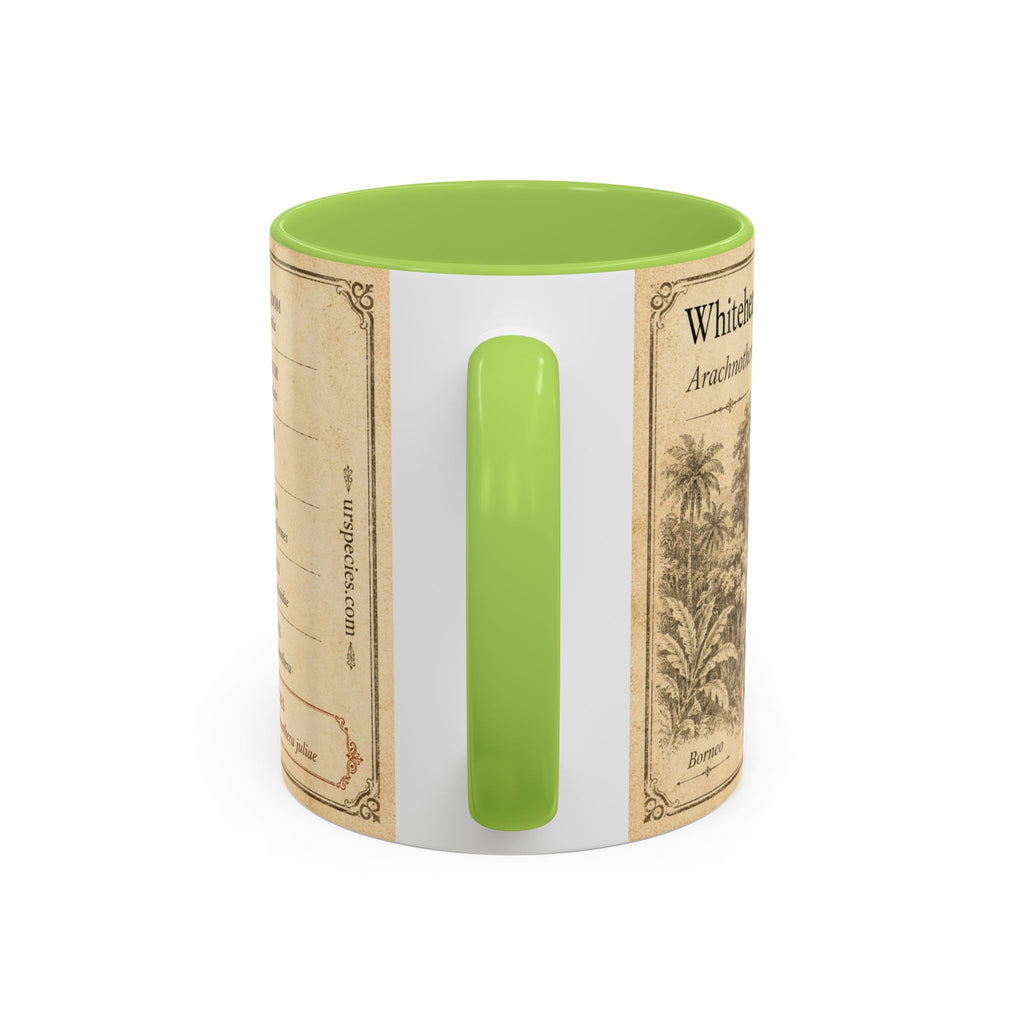 Custom Gift for Julia - Whitehead's spiderhunter (Arachnothera juliae) Nature Lovers Mug  - Europe / UK