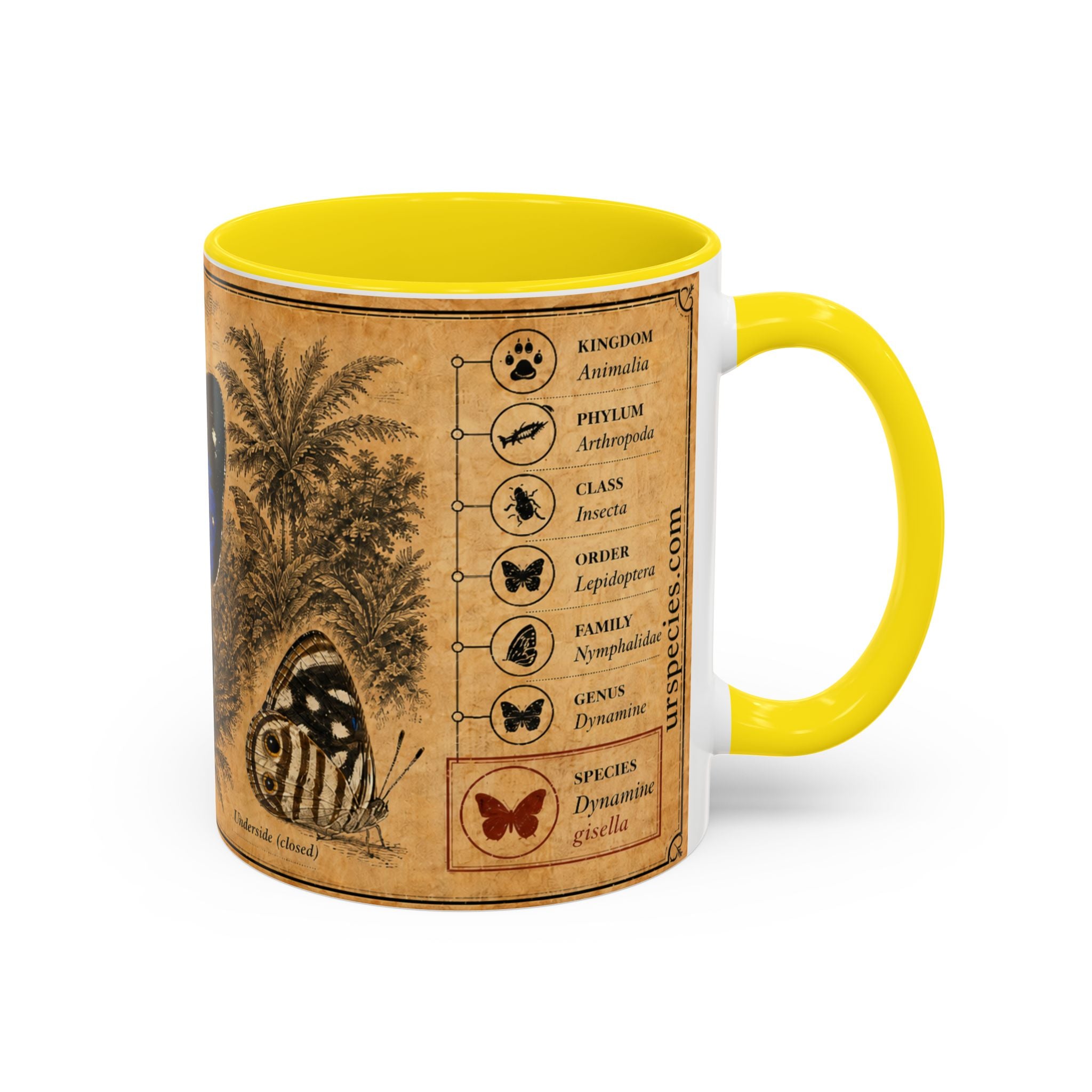 Gisella's Butterfly (Dynamine gisella) Coffee Mug — Vintage Blue Mug