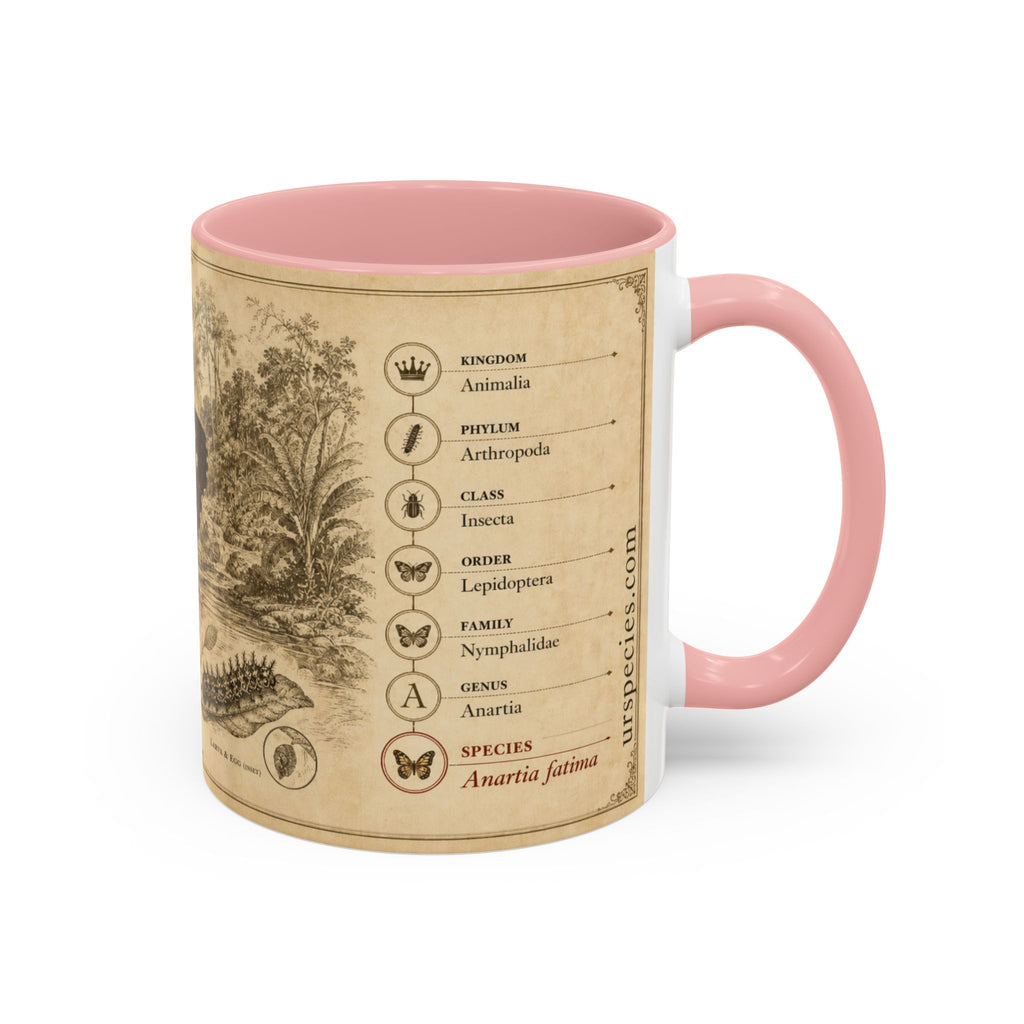 The banded peacock butterfly (Anartia fatima) Coffee Mug — Vintage Mug