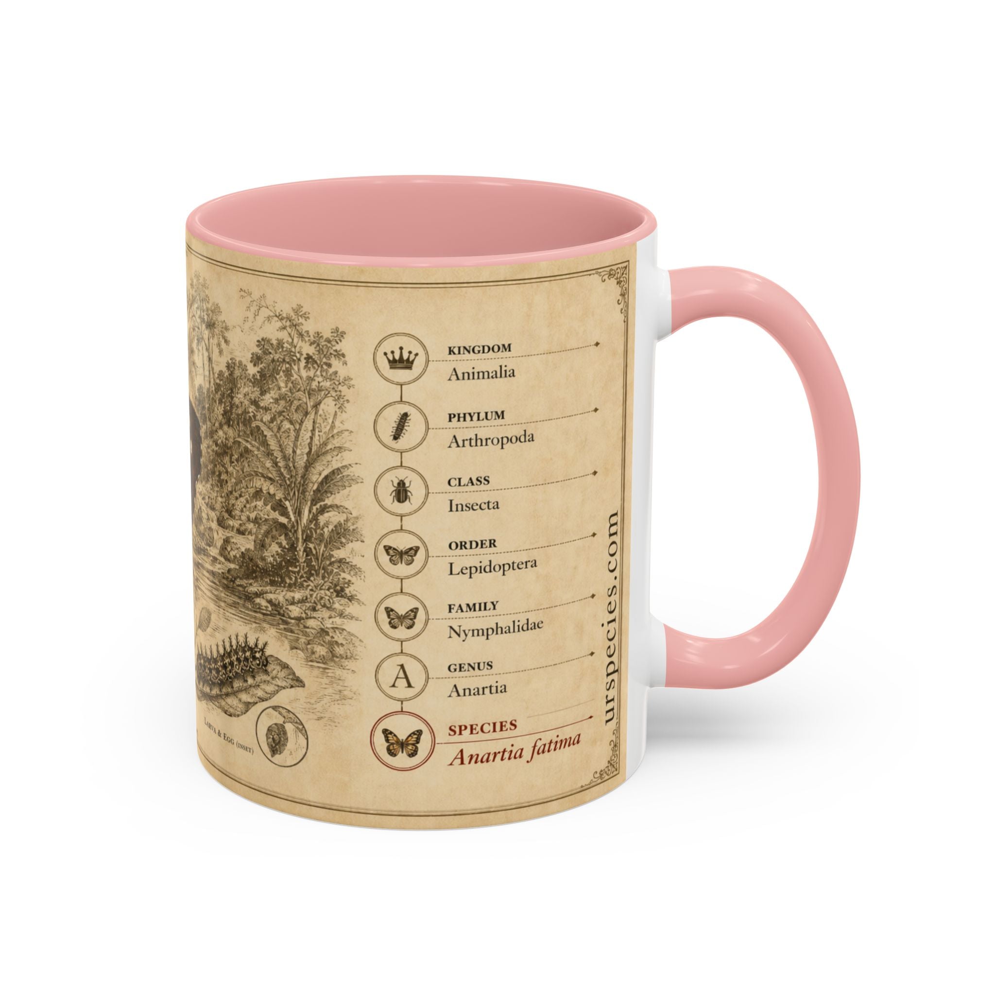The banded peacock butterfly (Anartia fatima) Coffee Mug — Vintage Mug