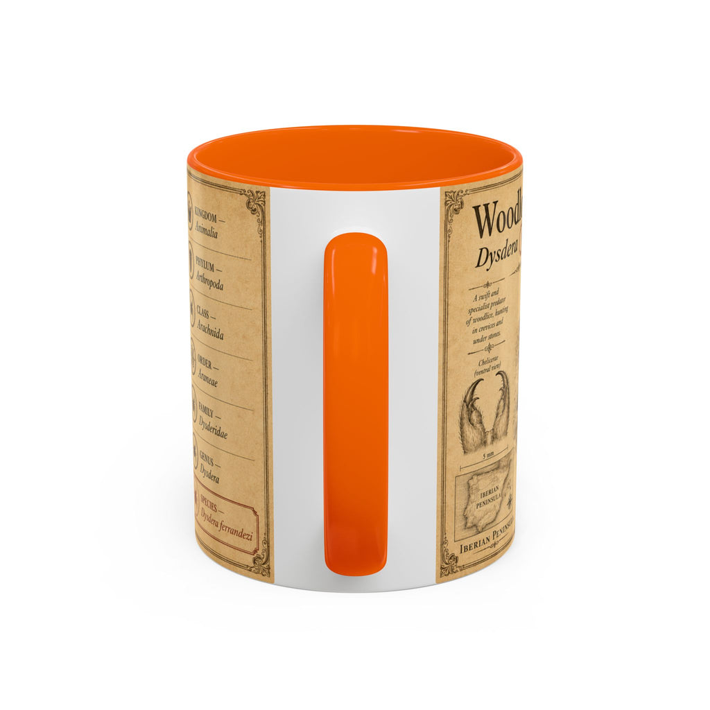 Custom Woodlouse-Hunting Spider Mug – Nature Lover's Gift for Ferran (Dysdera ferrandezi) – Europe/UK