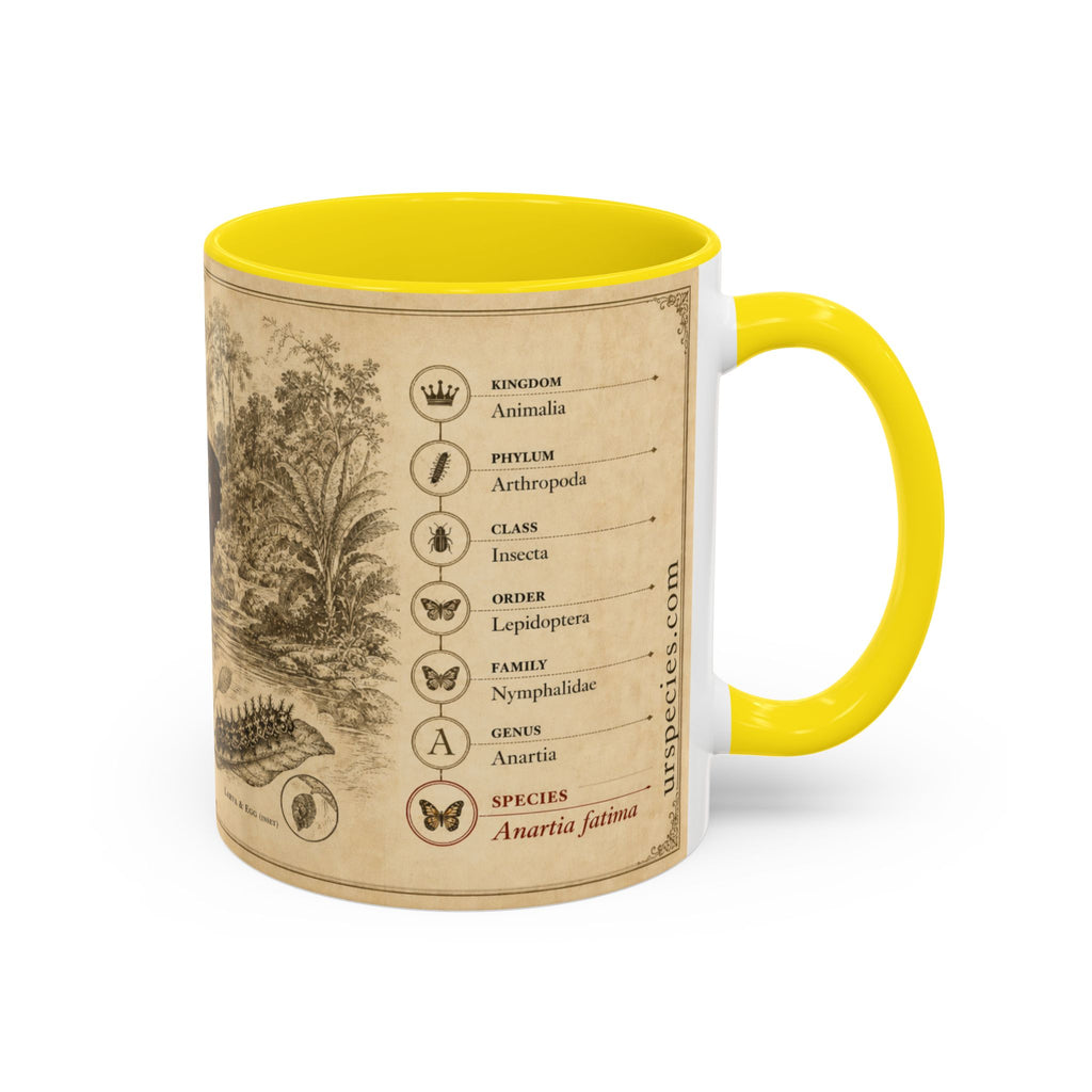 The banded peacock butterfly (Anartia fatima) Coffee Mug — Vintage Mug