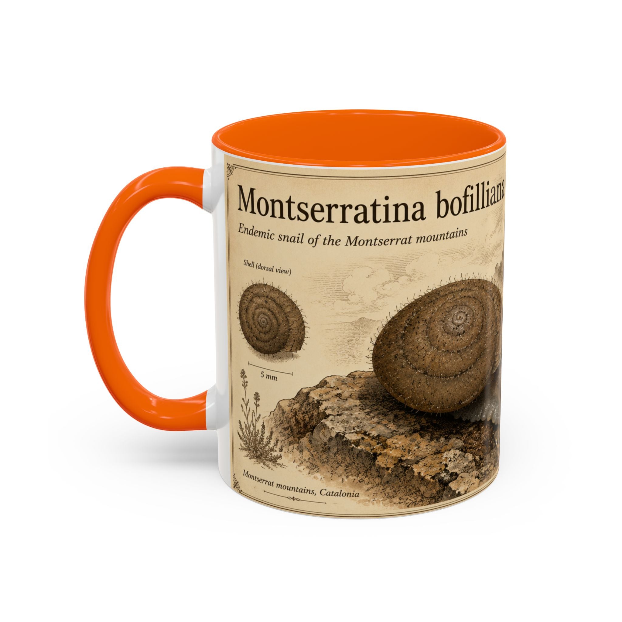 Custom Montserrat Snail Mug – Nature Lover's Gift for Montserrat (Montserratina bofilliana) – Europe/UK
