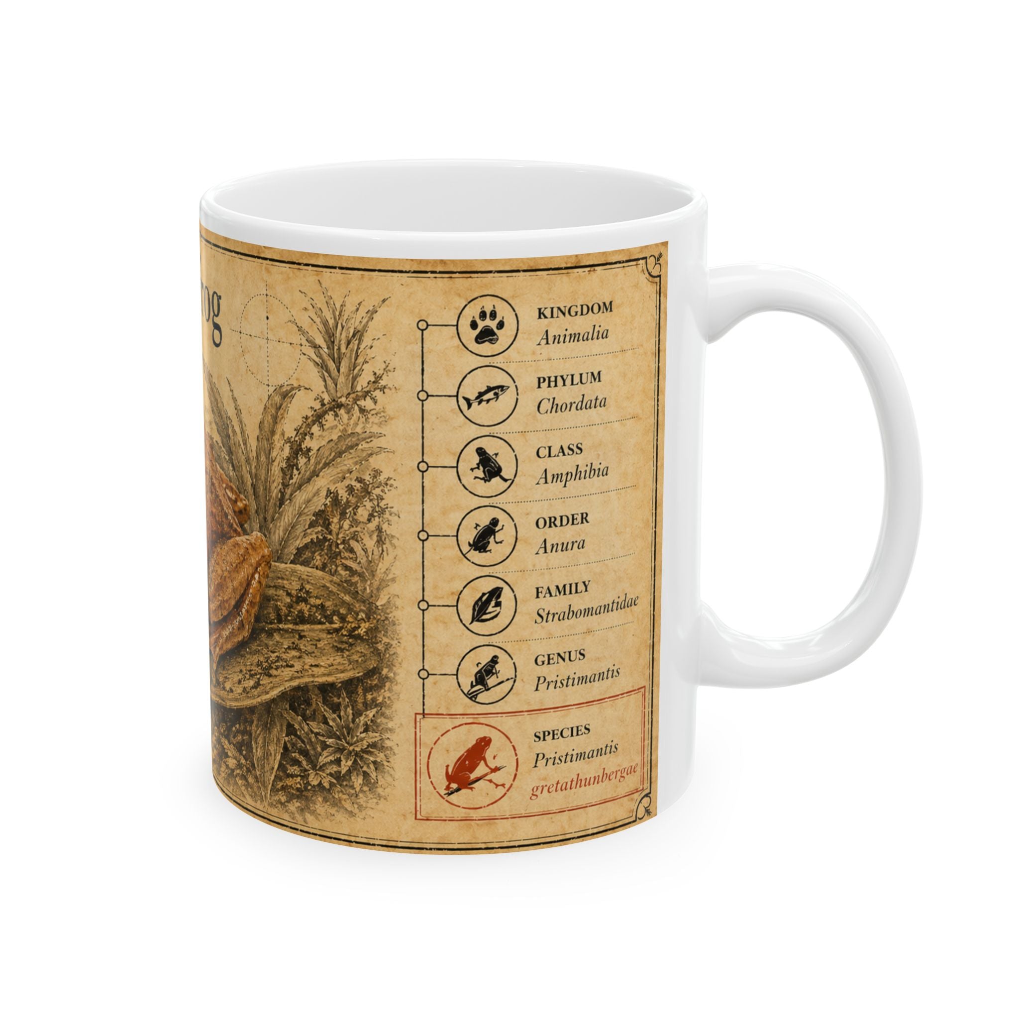 Greta Thunberg's rainfrog Illustration Ceramic Mug – Vintage Natural History Greta Thunberg's rainfrog (Pristimantis gretathunbergae) Art, 11oz & 15oz