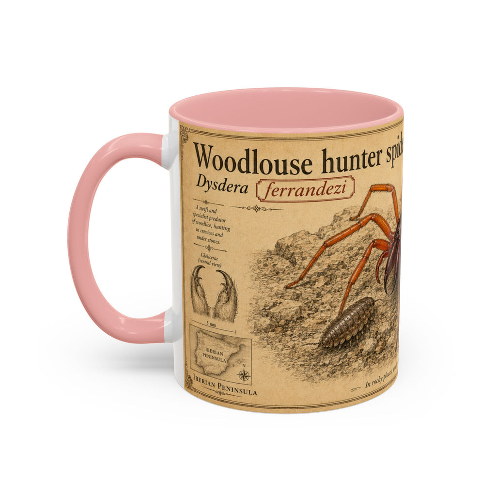 Custom Woodlouse-Hunting Spider Mug – Nature Lover's Gift for Ferran (Dysdera ferrandezi) – Europe/UK